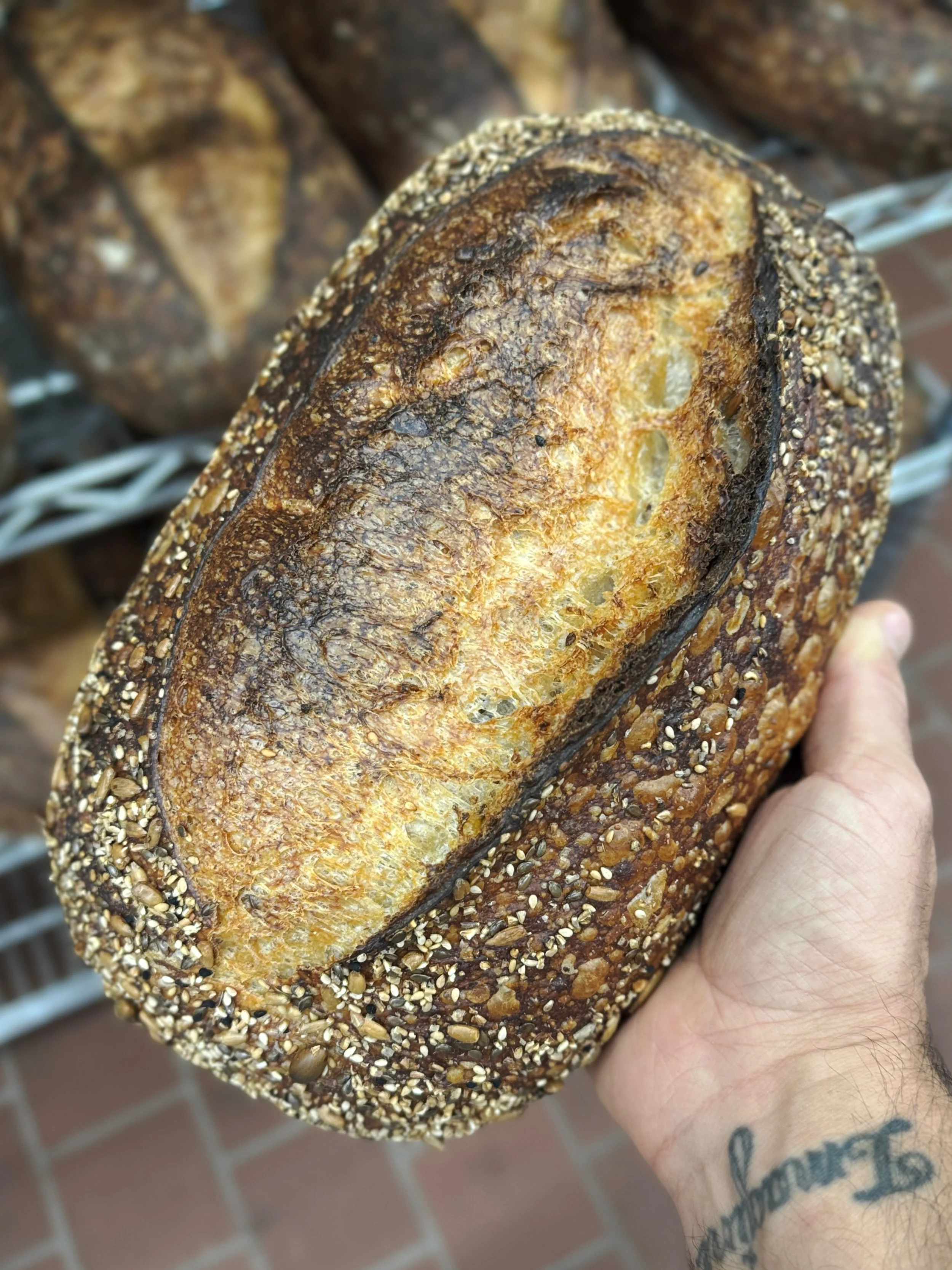 💥💥 YOU COMING BY THE SHOP THIS WEEK 💥💥

Wednesday 11-2 | Friday 11-2 | Saturday 10-1

#sourdough #bread #bakery #watsonville #melobread