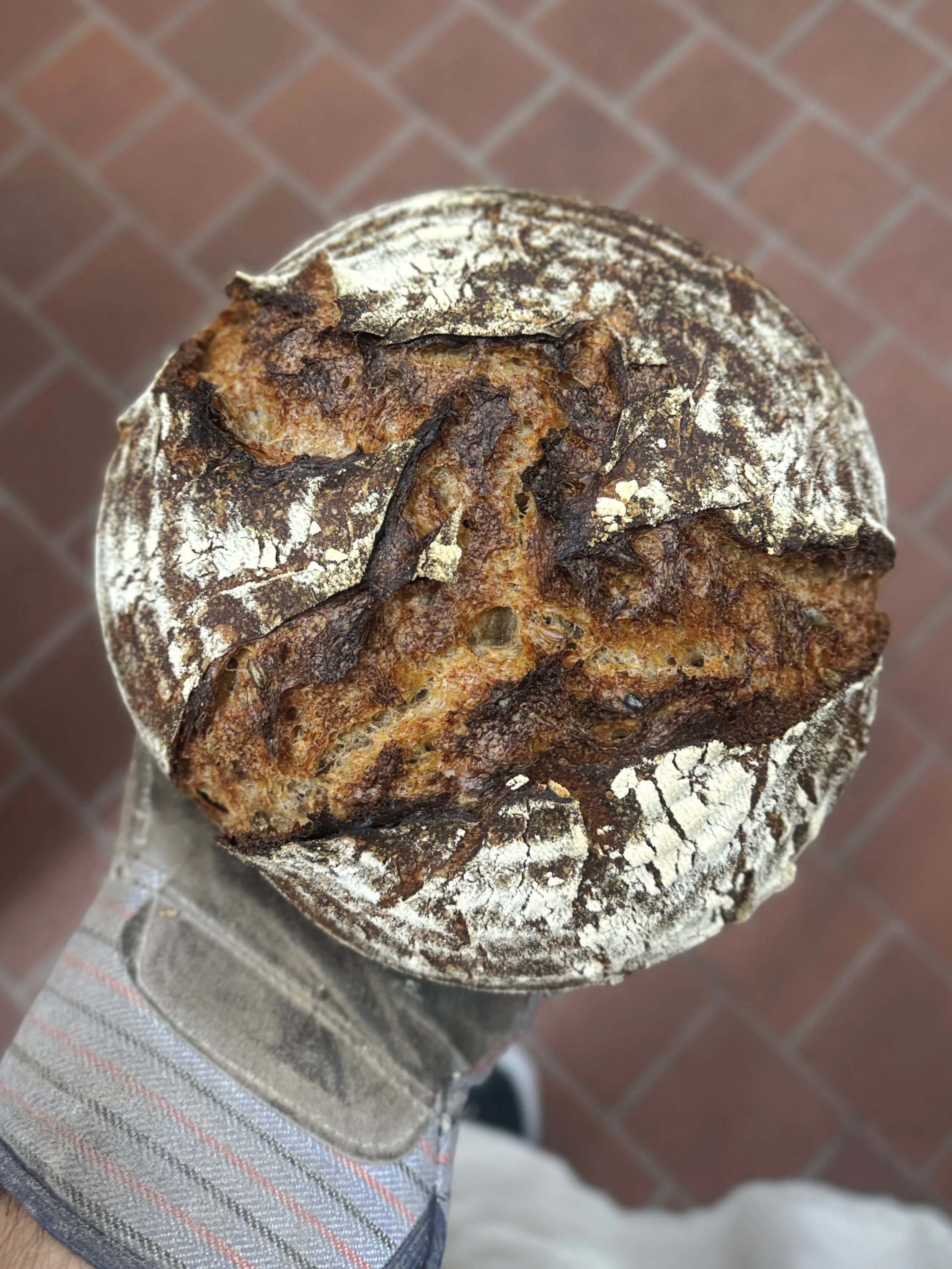 ⁉️CAN YOU BELIEVE ITS ALREADY FRIDAY, AGAIN⁉️

We&rsquo;ll have some gorgeous loaves available for today, Friday, AND tomorrow, Saturday. Swing on by the breadshop and say hi. 

#sourdough #bread #bakery #melobread #watsonville