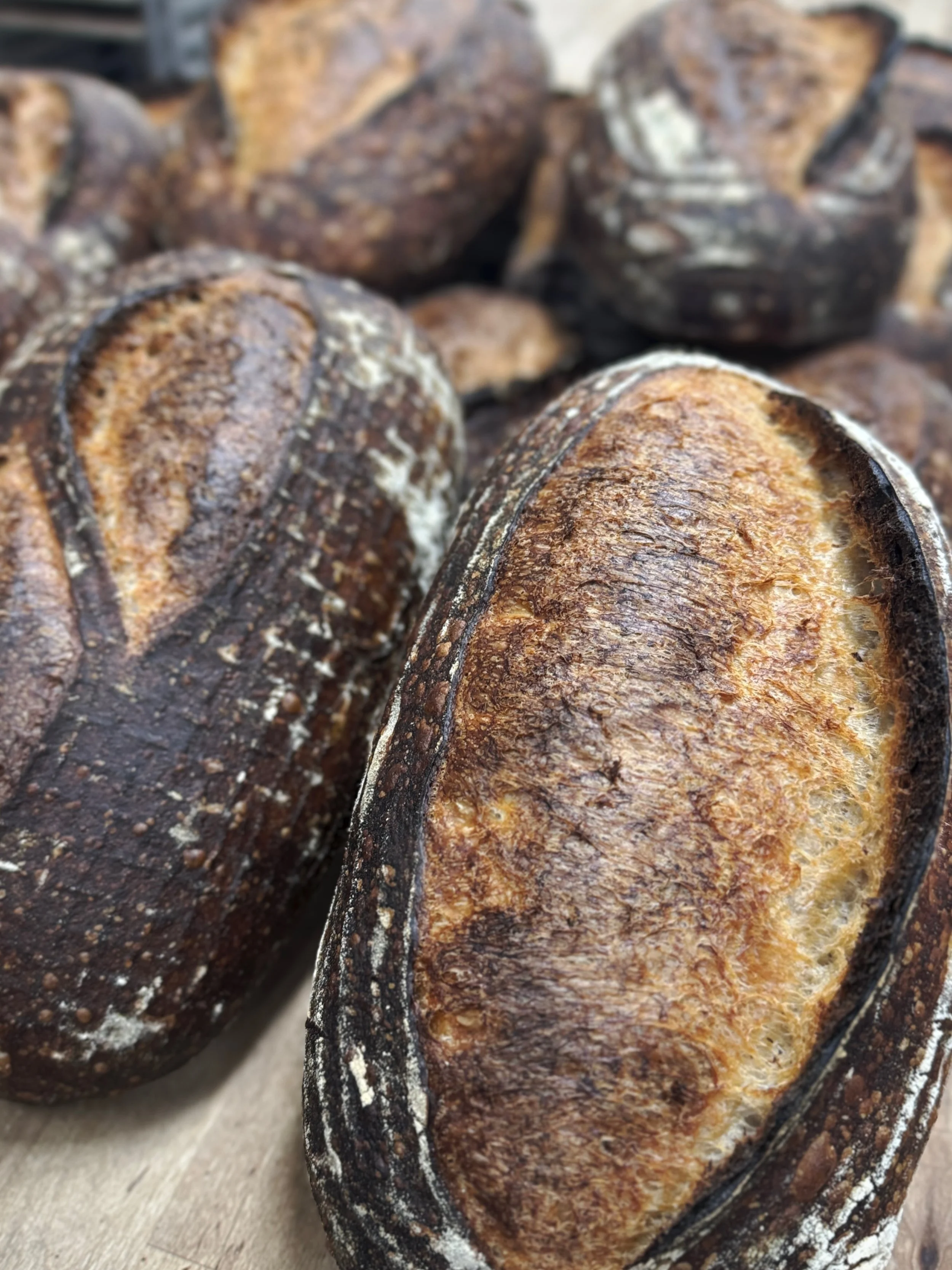 SHOP OPEN AT ELEVEN. FRESH FRESH FRESH. 
📍532 MAIN STREET. 

#sourdough #bread #melobread #watsonville