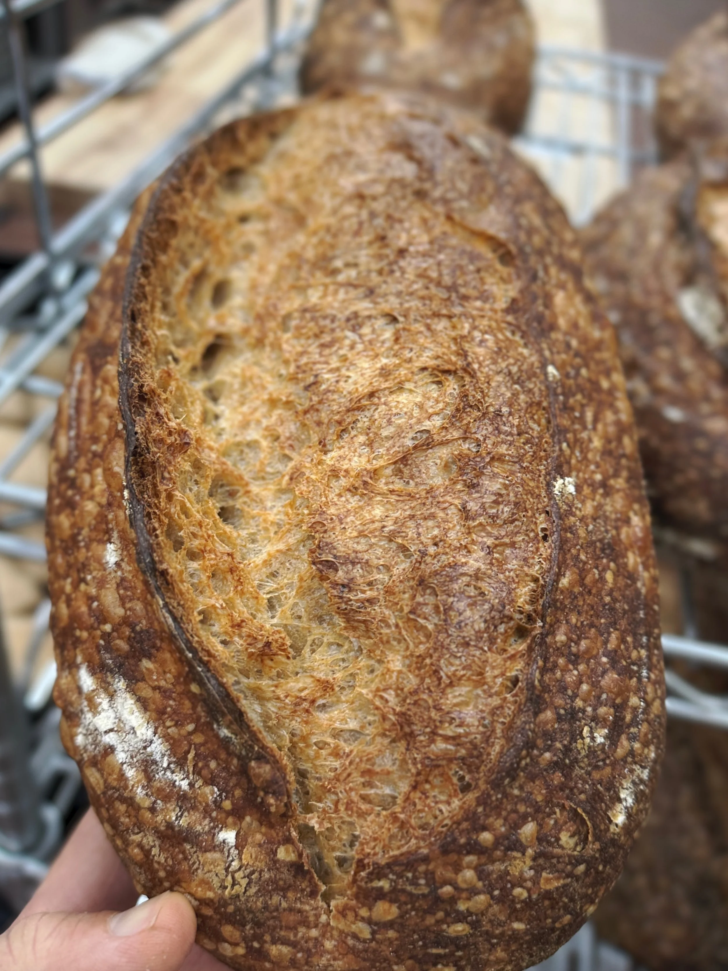 ‼️ SHOP OPEN ‼️

#sourdough #bread #melobread #watsonville