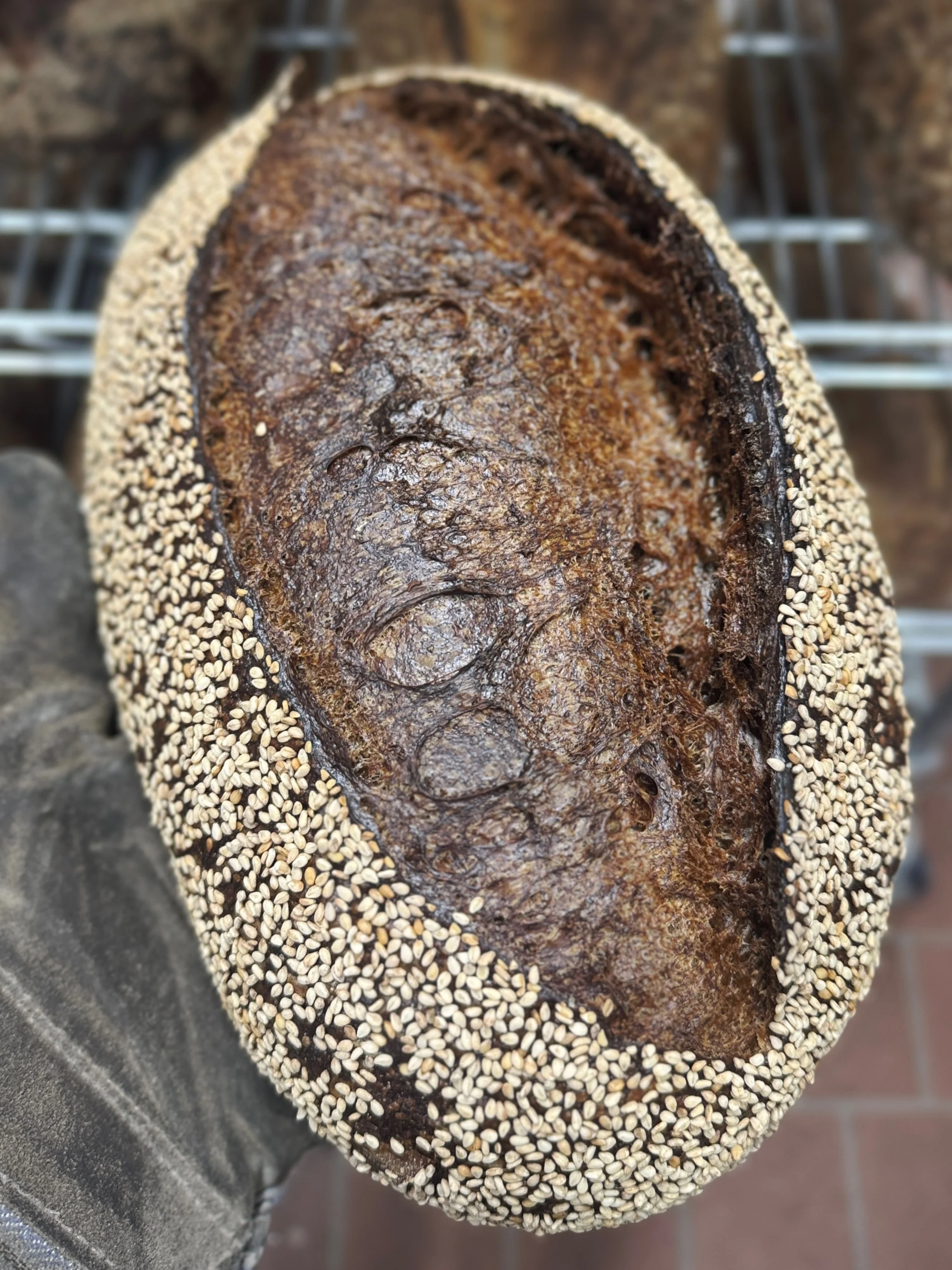 T O D A Y Y Y Y Y Y

Open at 11a 

#sourdough #bread #melobread