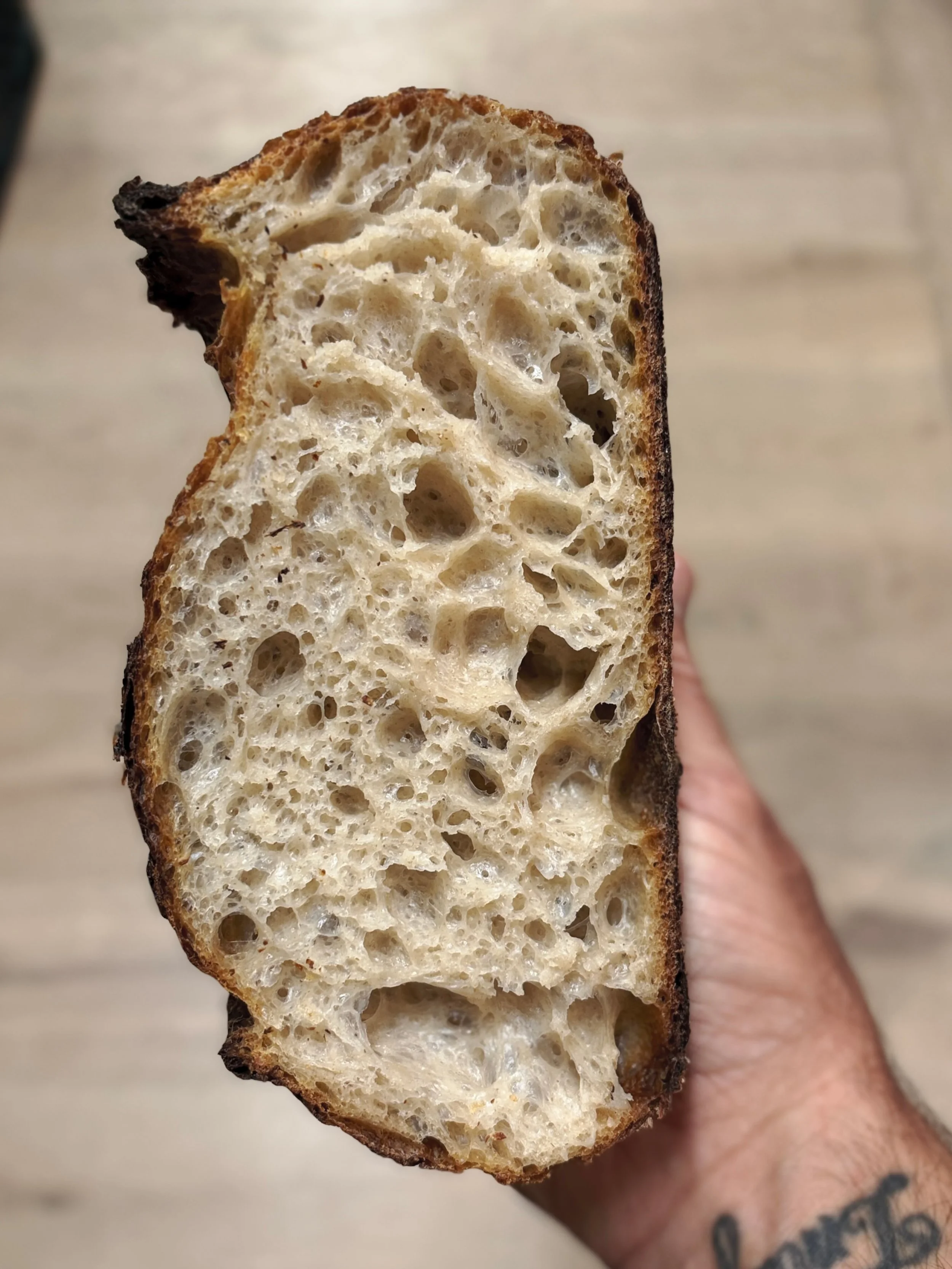 Local Grains available at the shop today. 
532 Main st. &mdash;&mdash; 11a - 2p 

100%  bread flour by @melgardfarmmill 
86-ish% water
2.2%  salt 

SUUUPER tasty, truly very much so!