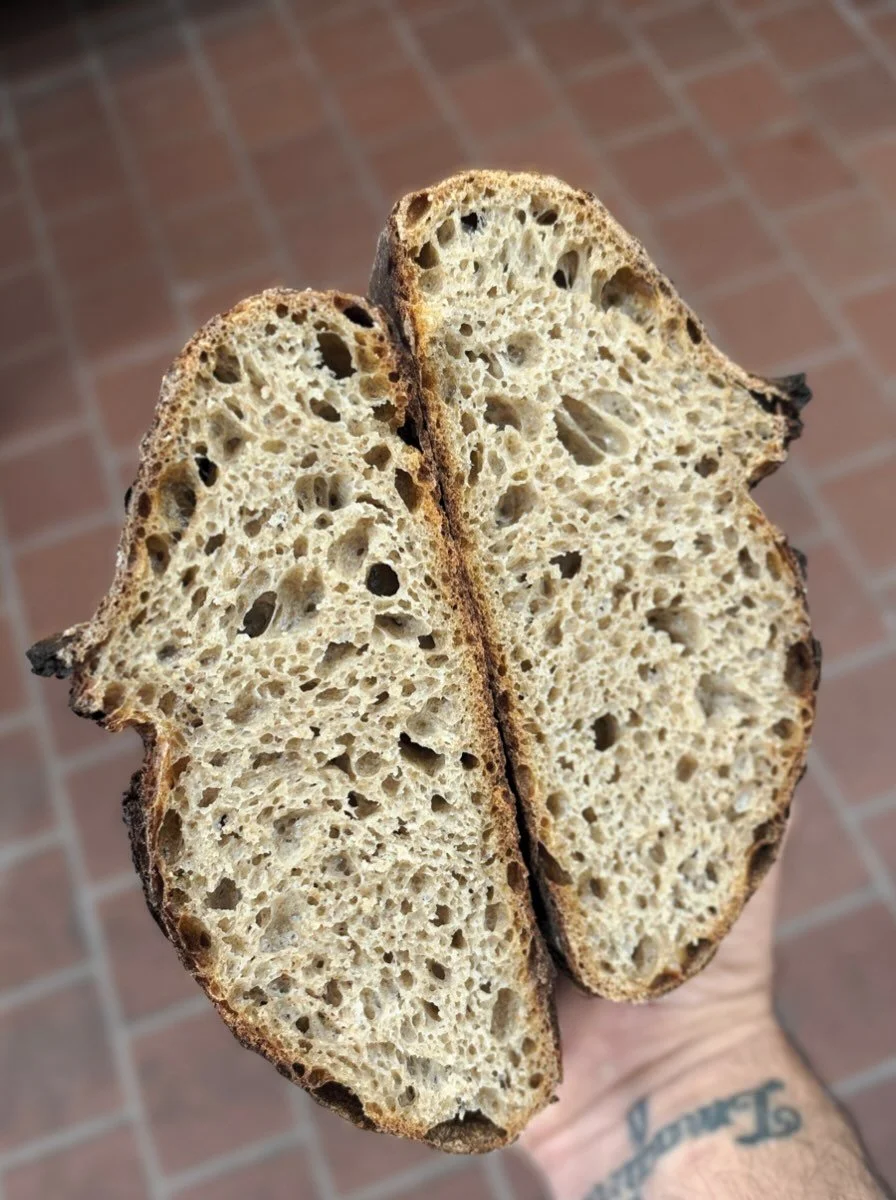 constant. change. 

all sorts of things happening behind the scenes. 
lots are,or will be shared with you, some won&rsquo;t be. 
wins and losses. losses and wins. 

100% whole grain rouge de bordeaux from @melgardfarmmill is one of those things that 