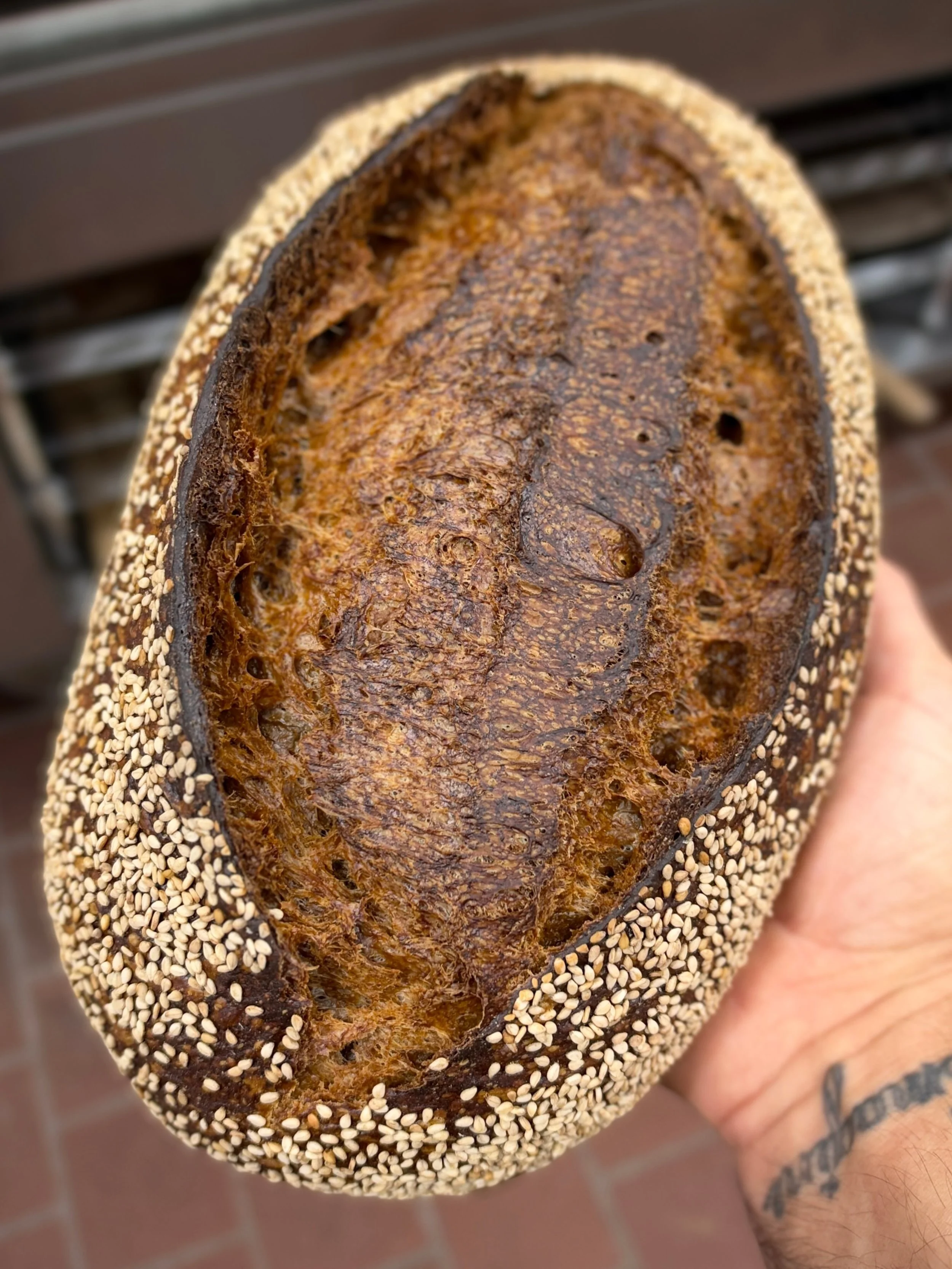 🌶️ 🌶️ ANCHO FRIDAY AT THE BREADSHOP 🌶️ 🌶️ 

11a - 2p &mdash;&mdash; 532 Main St. 

CLOSED NEXT FRIDAY &amp; SATURDAY 

#sourdough #bread #lfg