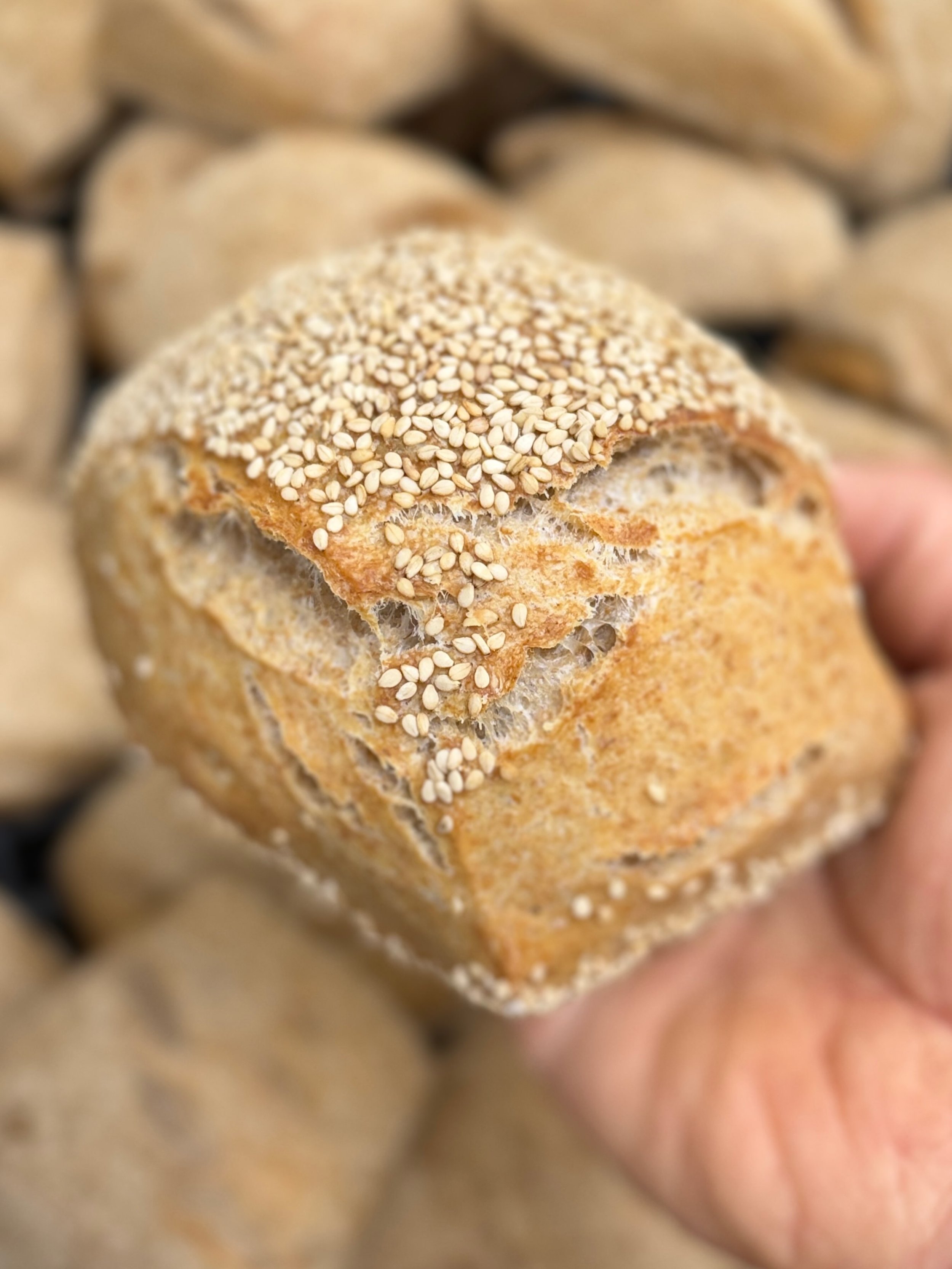 S P E L T - Y  B U N S

Only Saturday&rsquo;s
Only @melobread 

#sourdough #bread

65% trailblazer @cairnspringmills 
35% whole grain Spelt @centralmilling 
84% water 
2.2% salt