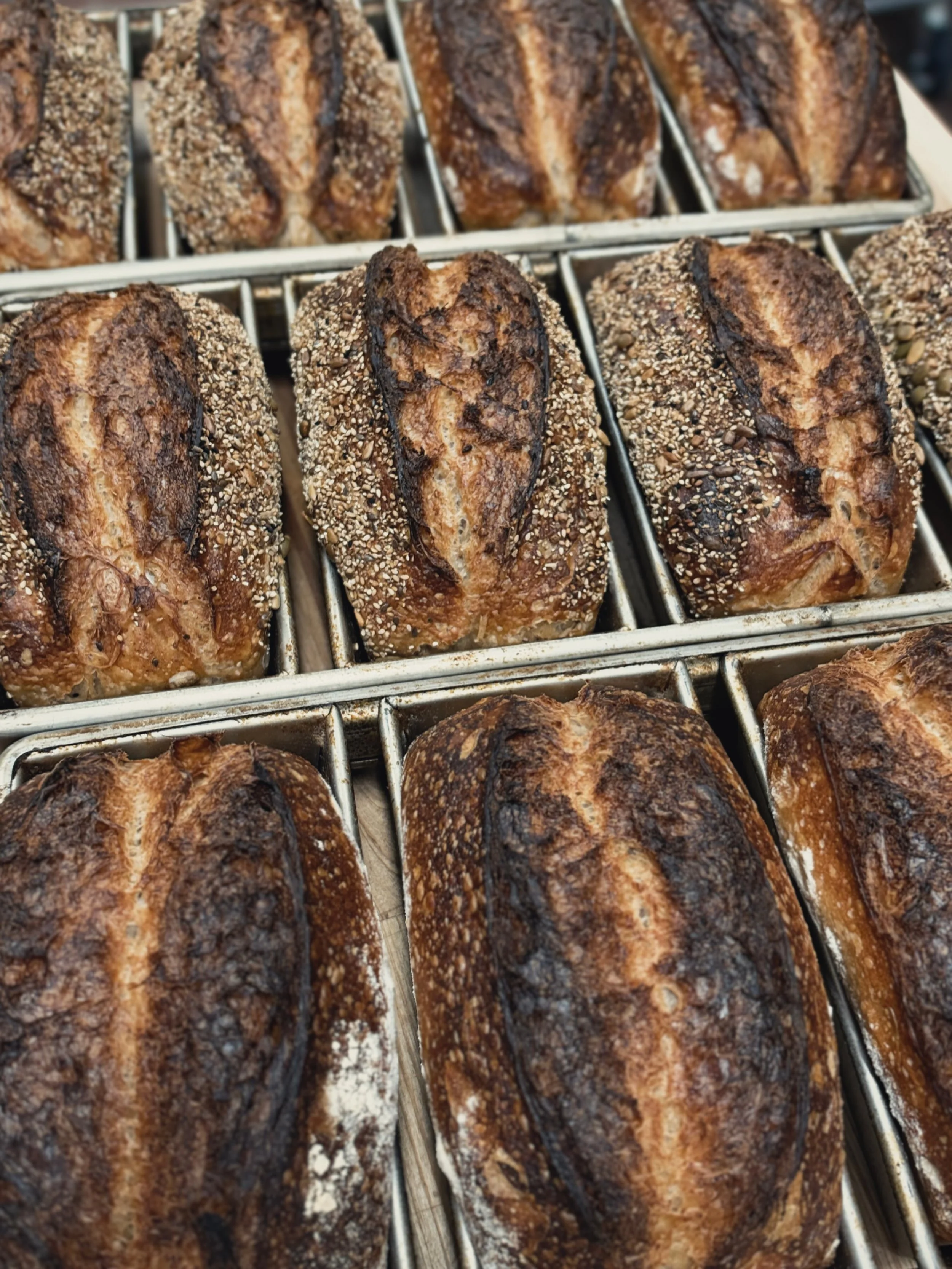 BREAD DOES WHAT BREAD DOES BEST

Saturday 10&bull;17 || Open ~10 

#sourdough #bread #bakery