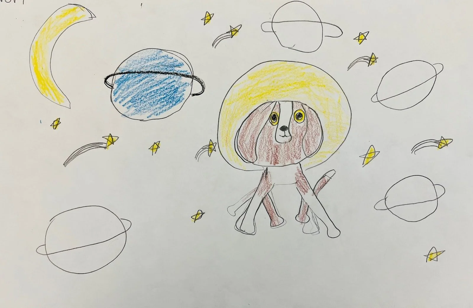 Outer space dog.jpeg