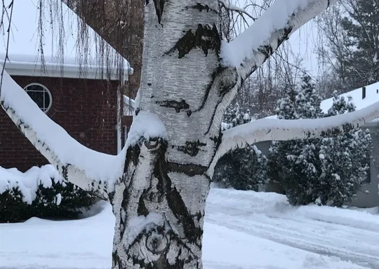 Winter Wonderland Camp