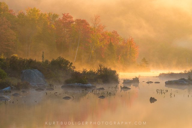 Intro to Digital Photography - 5 Week Class