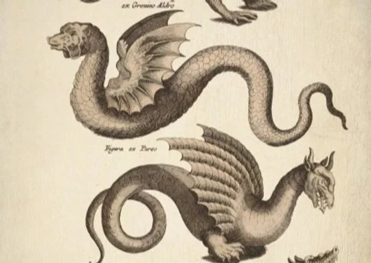 Mythical Creatures Camp (Conferences)