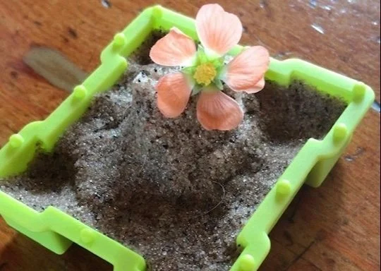 After School Art Sessions: K-4th Grade