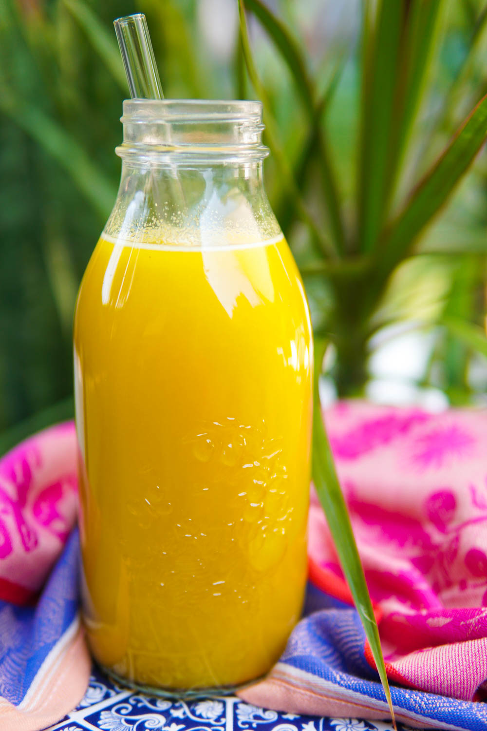 Liquid Gold: Anti-Inflammatory Juice Recipe For Healthy Digestion & Glowing Skin — The Stanczyks | EatMoveRest
