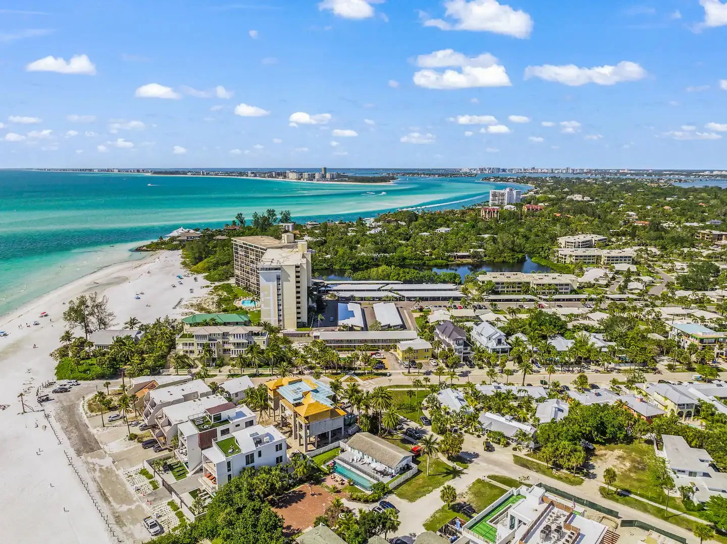 seashell esta 10.jpeg