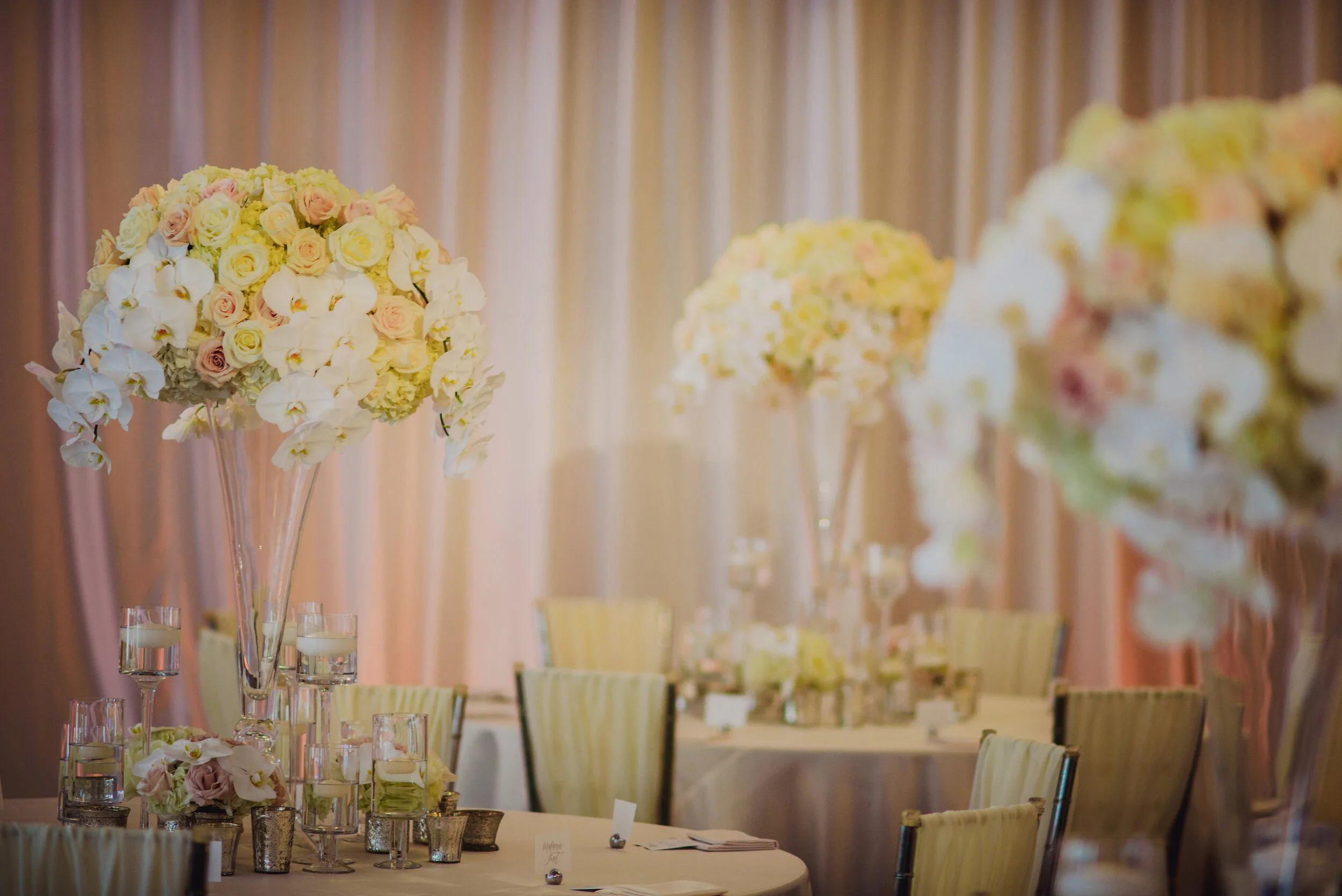 Roxy+Todd_0038 copy.JPG