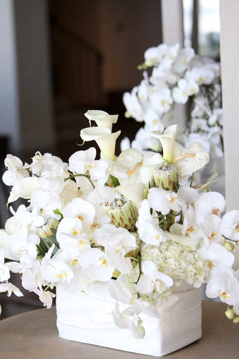 sophisticated13 copy.jpg