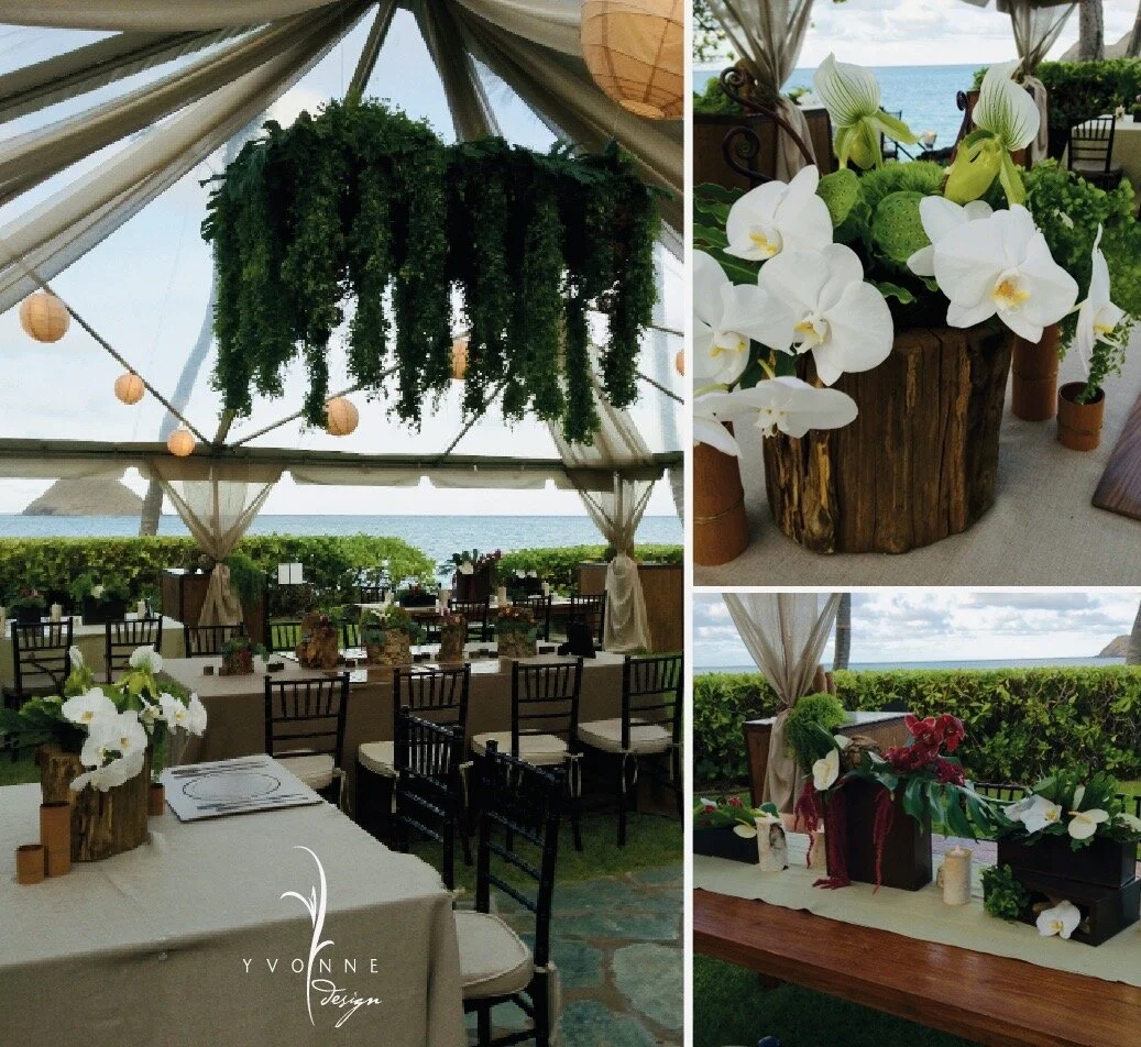 organic_natural_paul mitchell estate5.jpeg