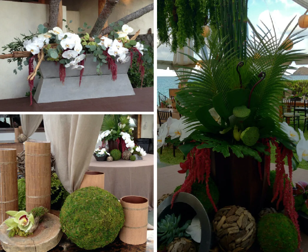 organic_natural_paul mitchell estate4.jpg