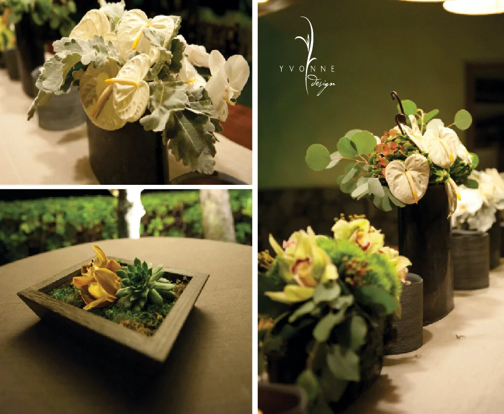 organic_natural_paul mitchell estate3.jpg