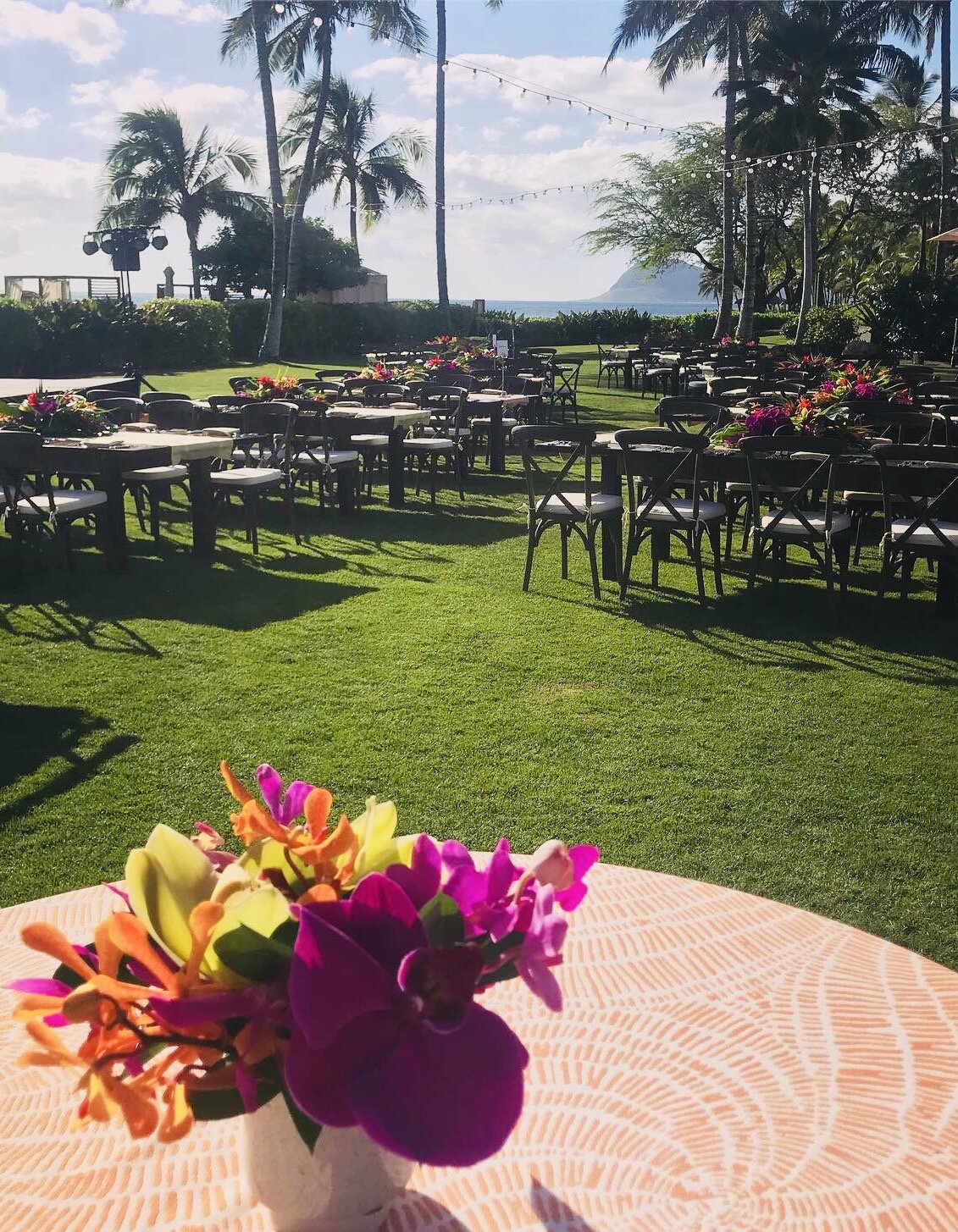 4B415D5F-3376-4246-8D65-59BB45F13A18 2.jpeg