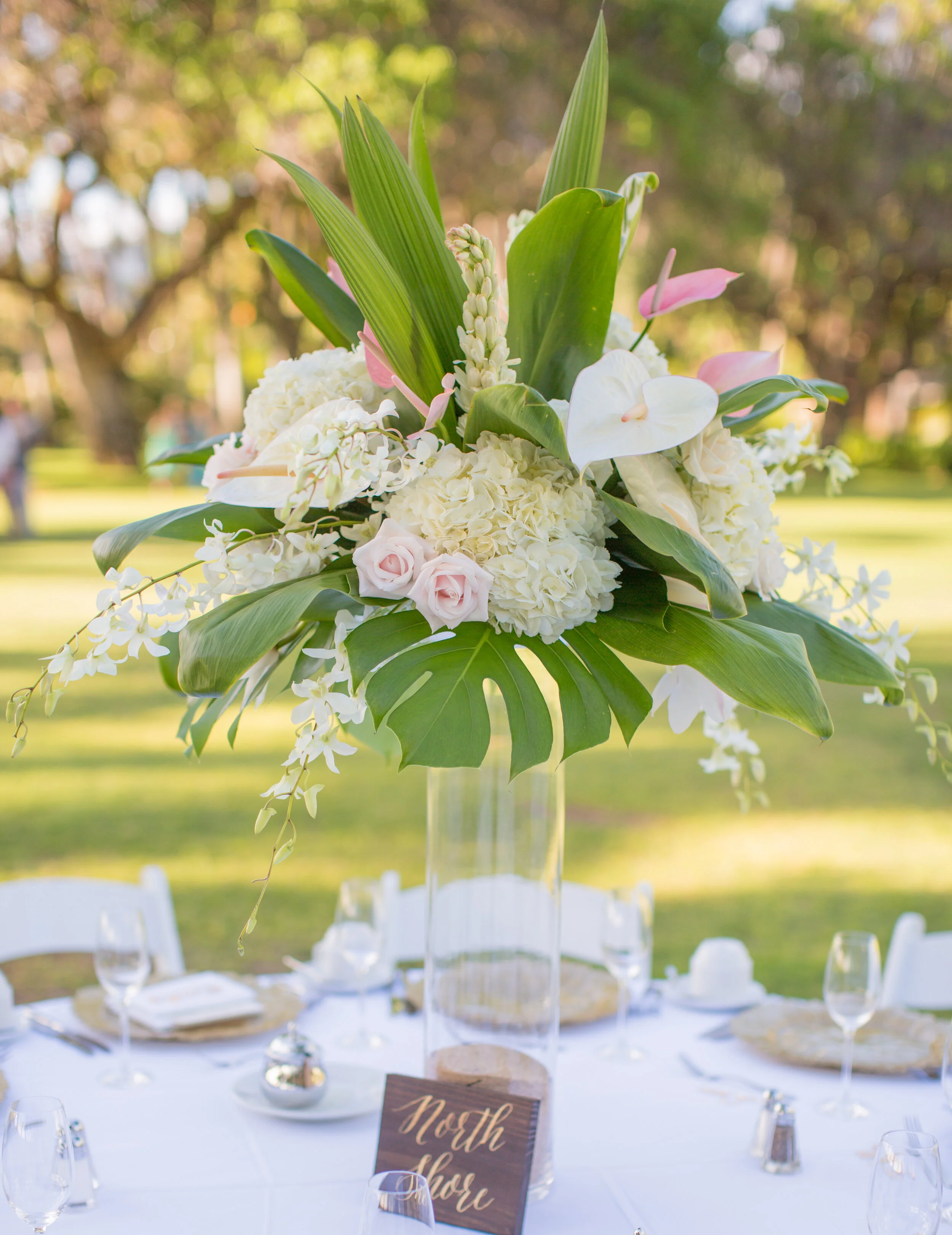 photo - Bianca Photography