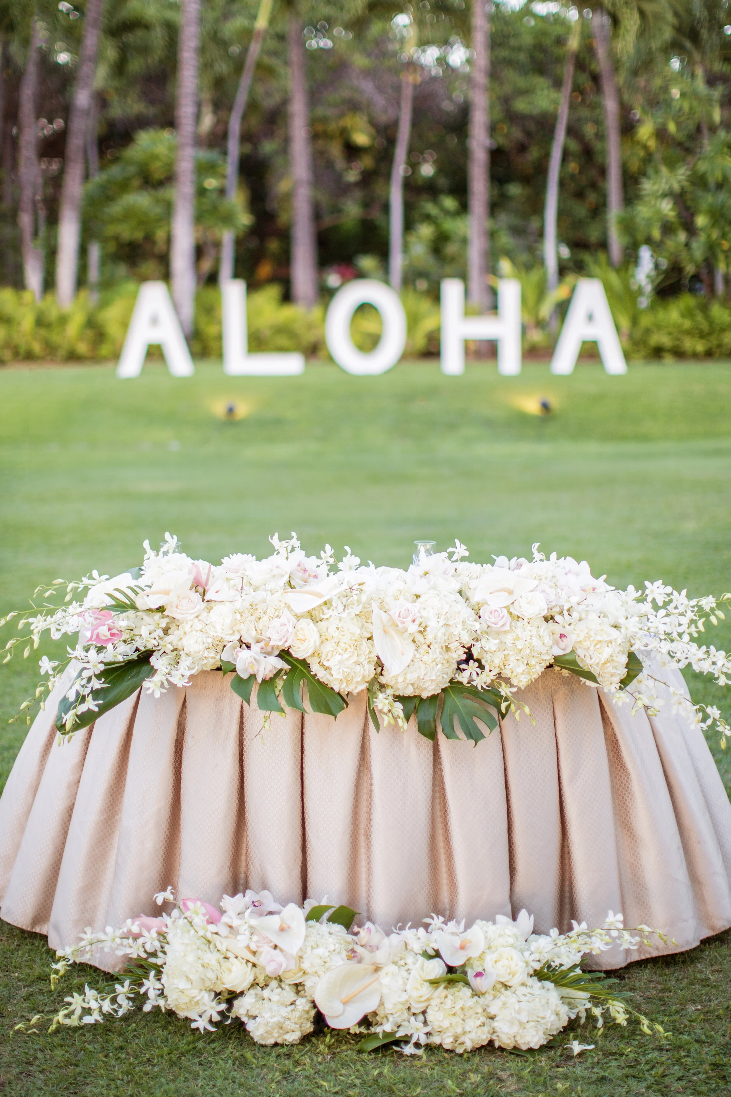 photo - Bianca Photography