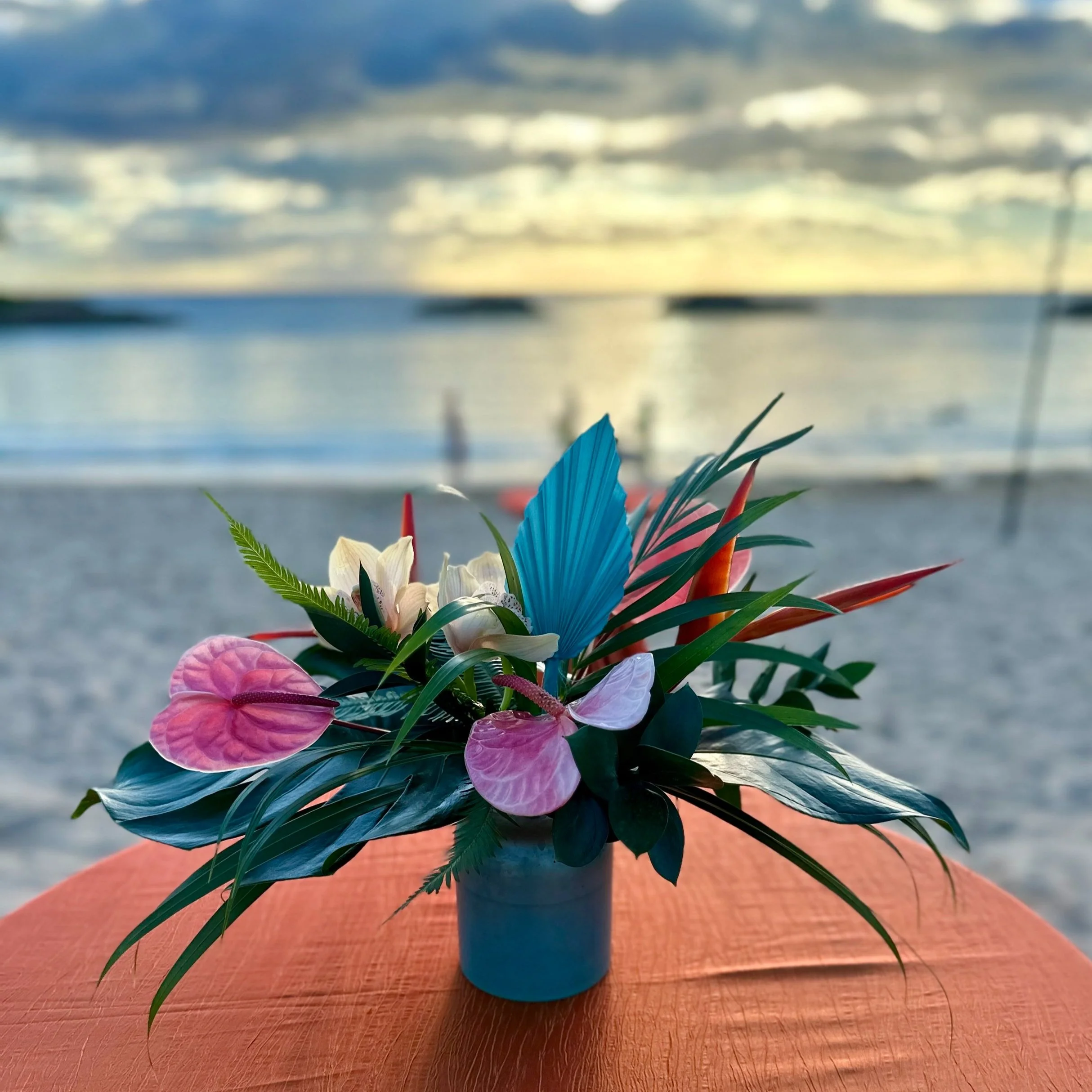 75264071988__60418B45-5202-4E2F-A6F6-614672CC90F7.fullsizerender+2.jpg