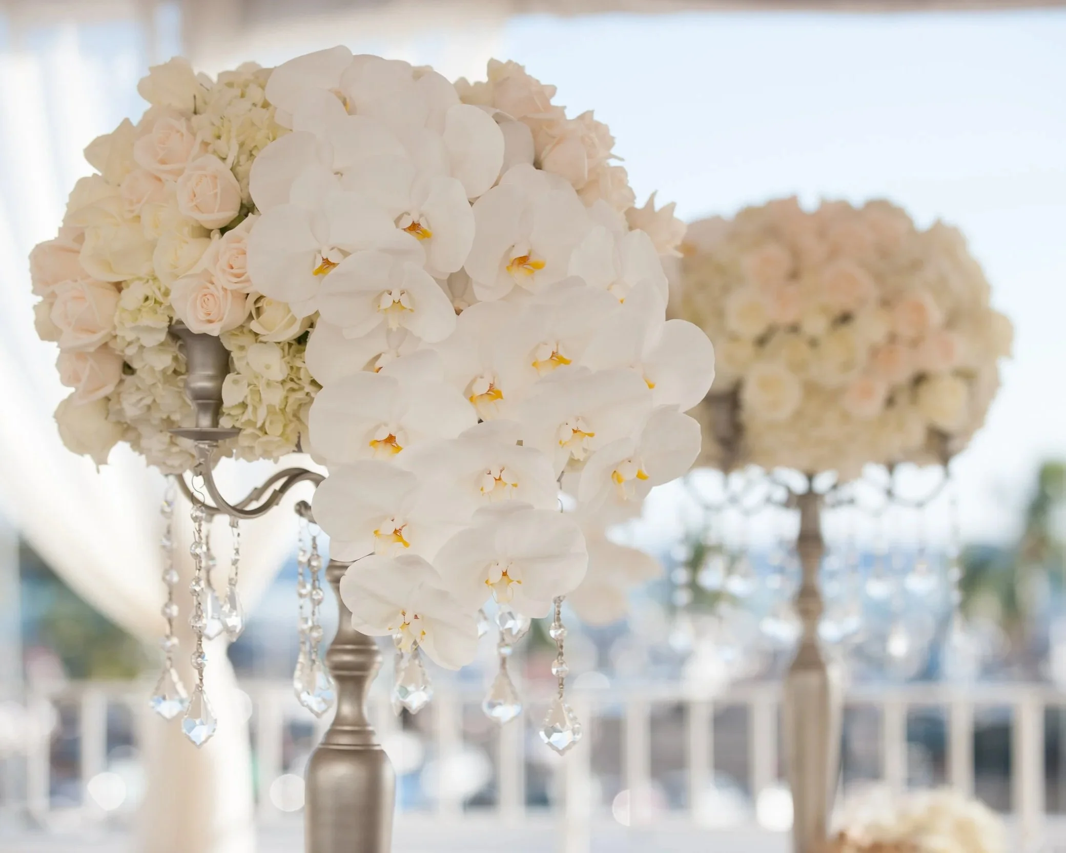 photo - Kevin Lubera