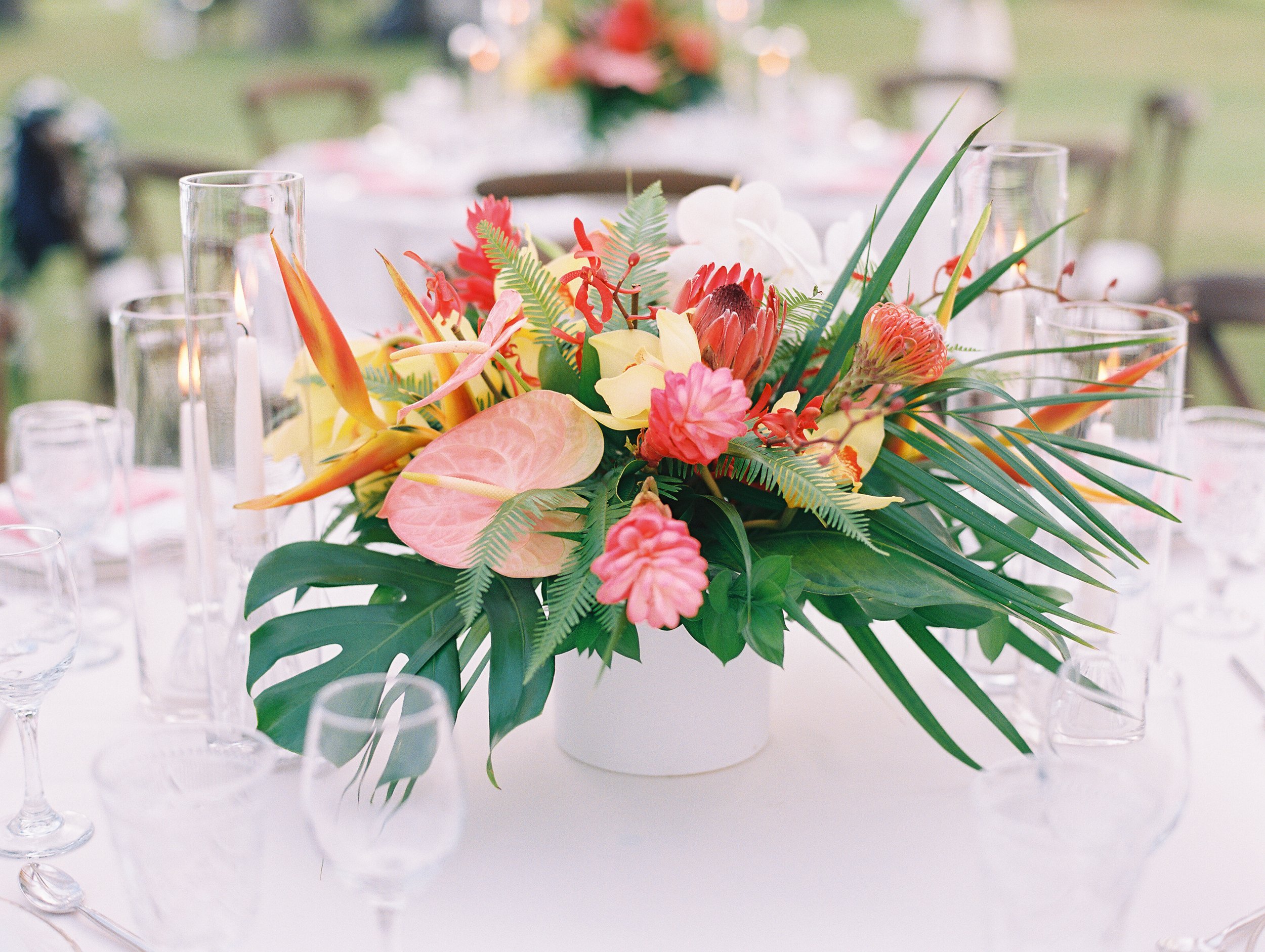 Reception YD31.jpg