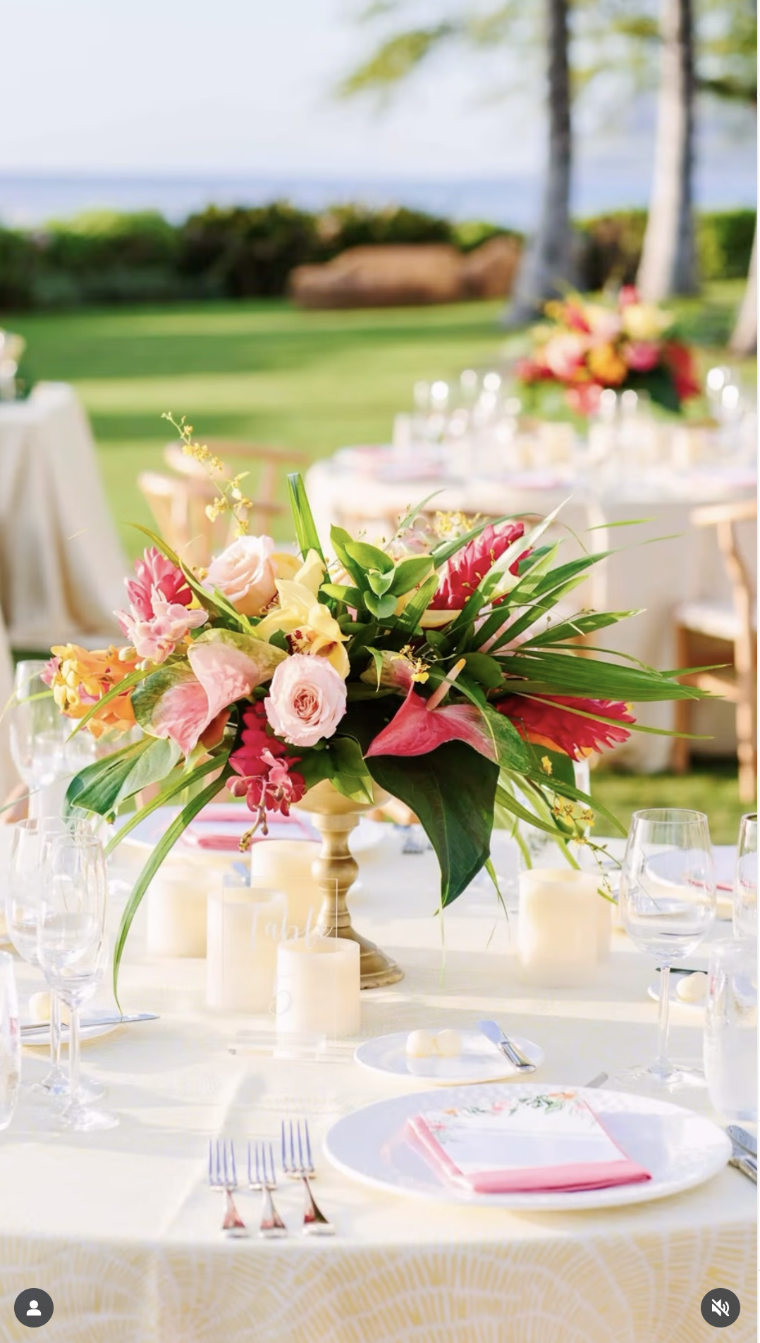 Yvonne design tropical centerpiece.png
