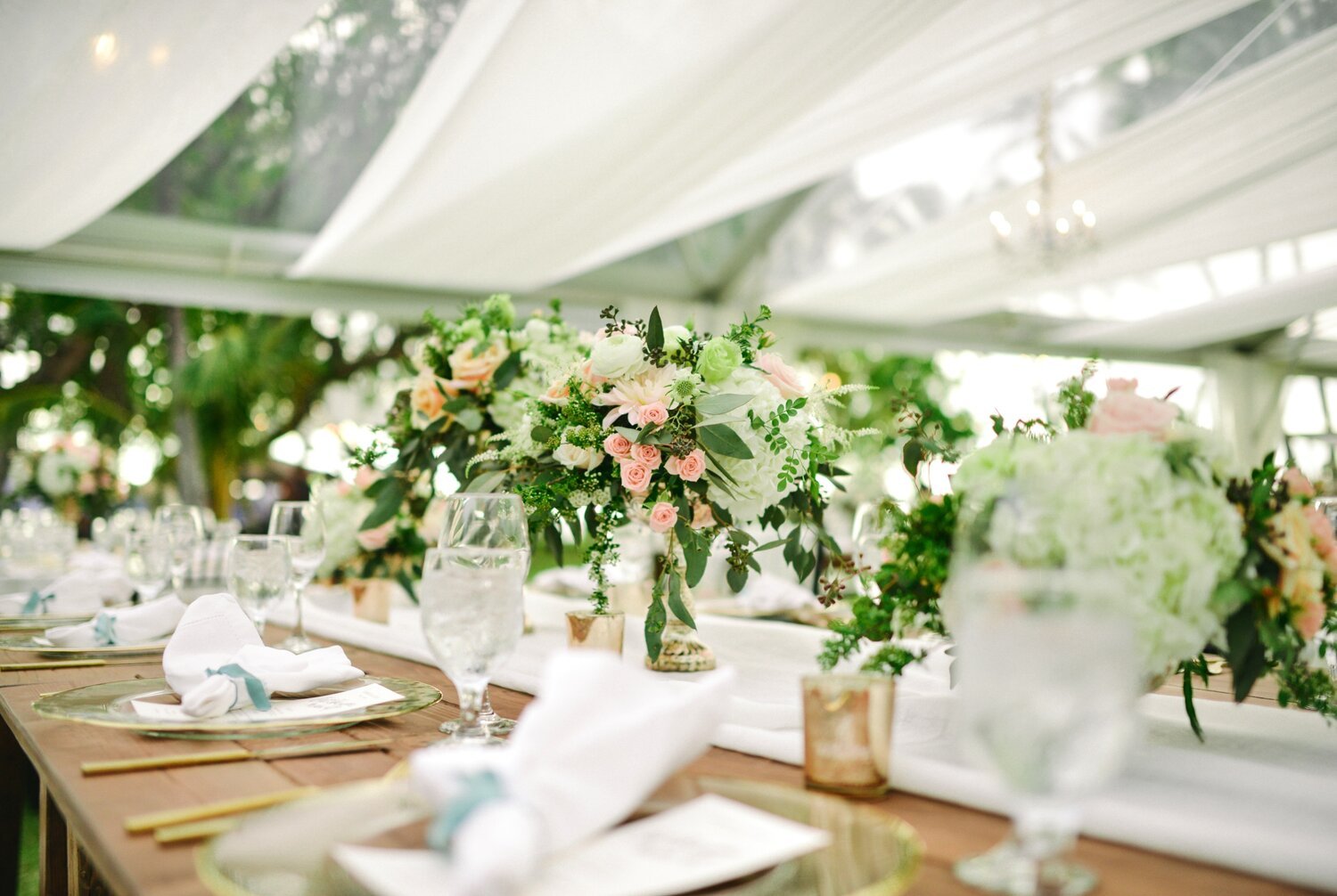 Reception YD6.jpg