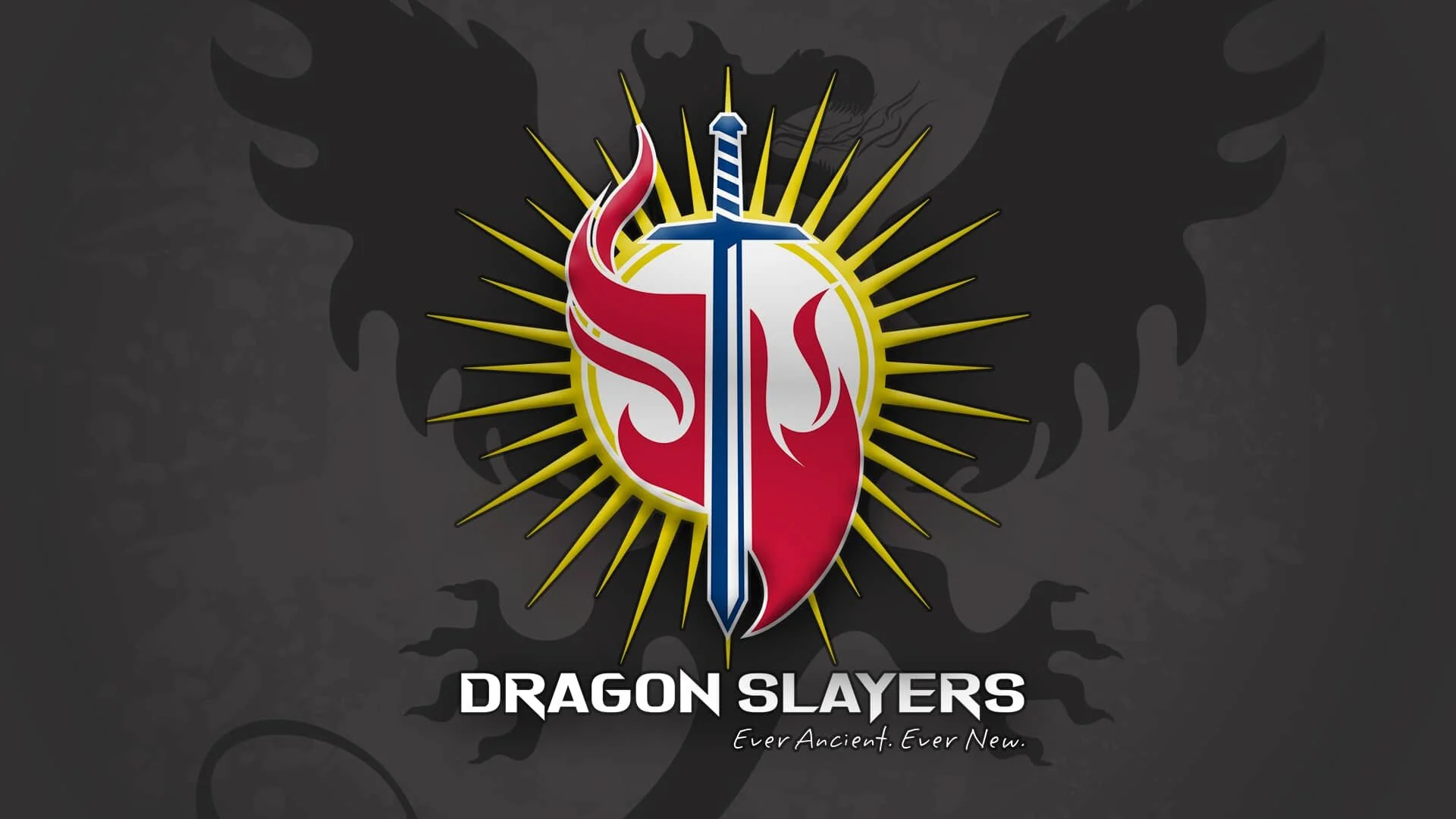 dragon slayers banner horizontal smaller.jpg