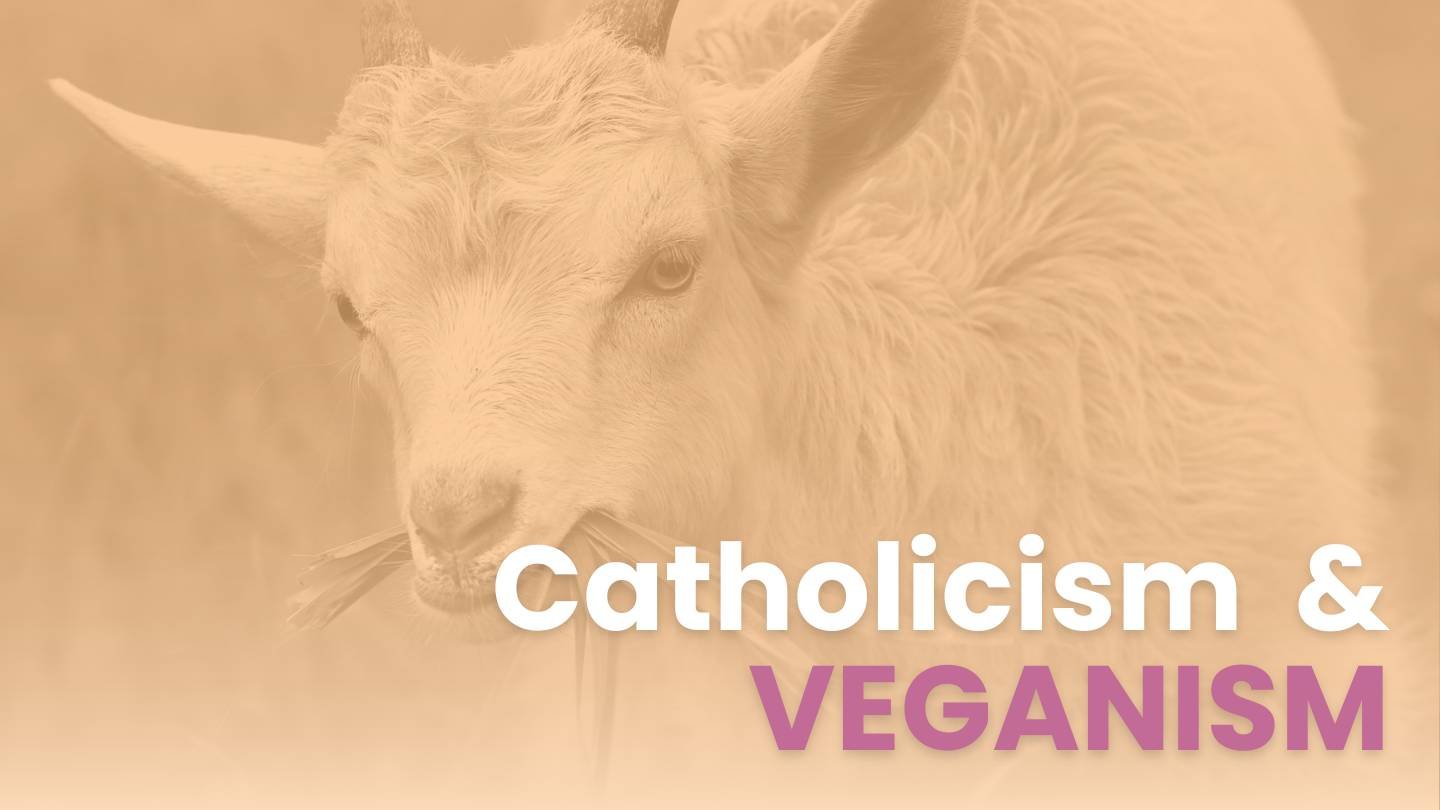 Season 4. Ep 93. Animals, Catholicism & Veganism, Food Series #5