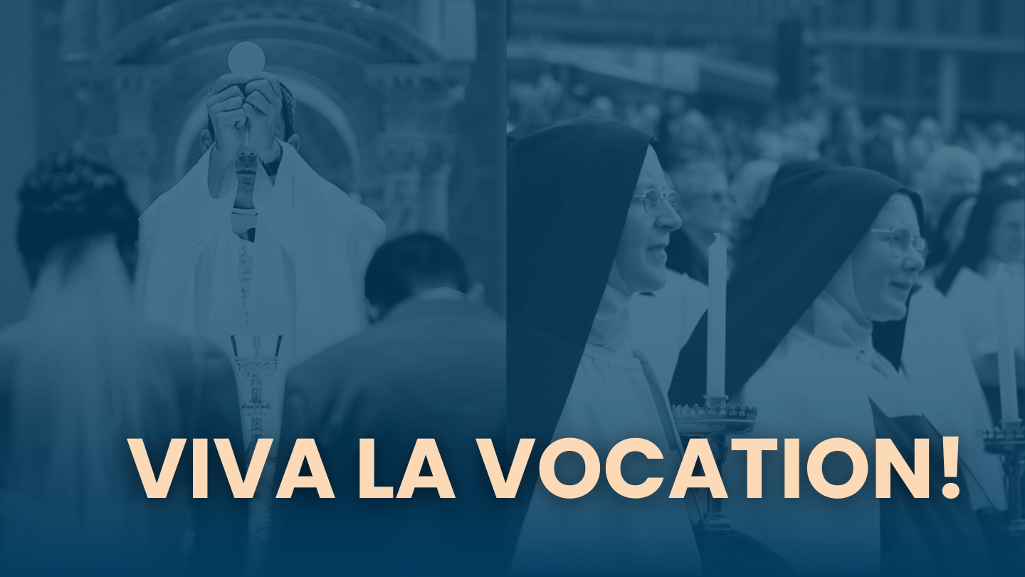 Ep69. The Value of Discovering Your Own Vocation