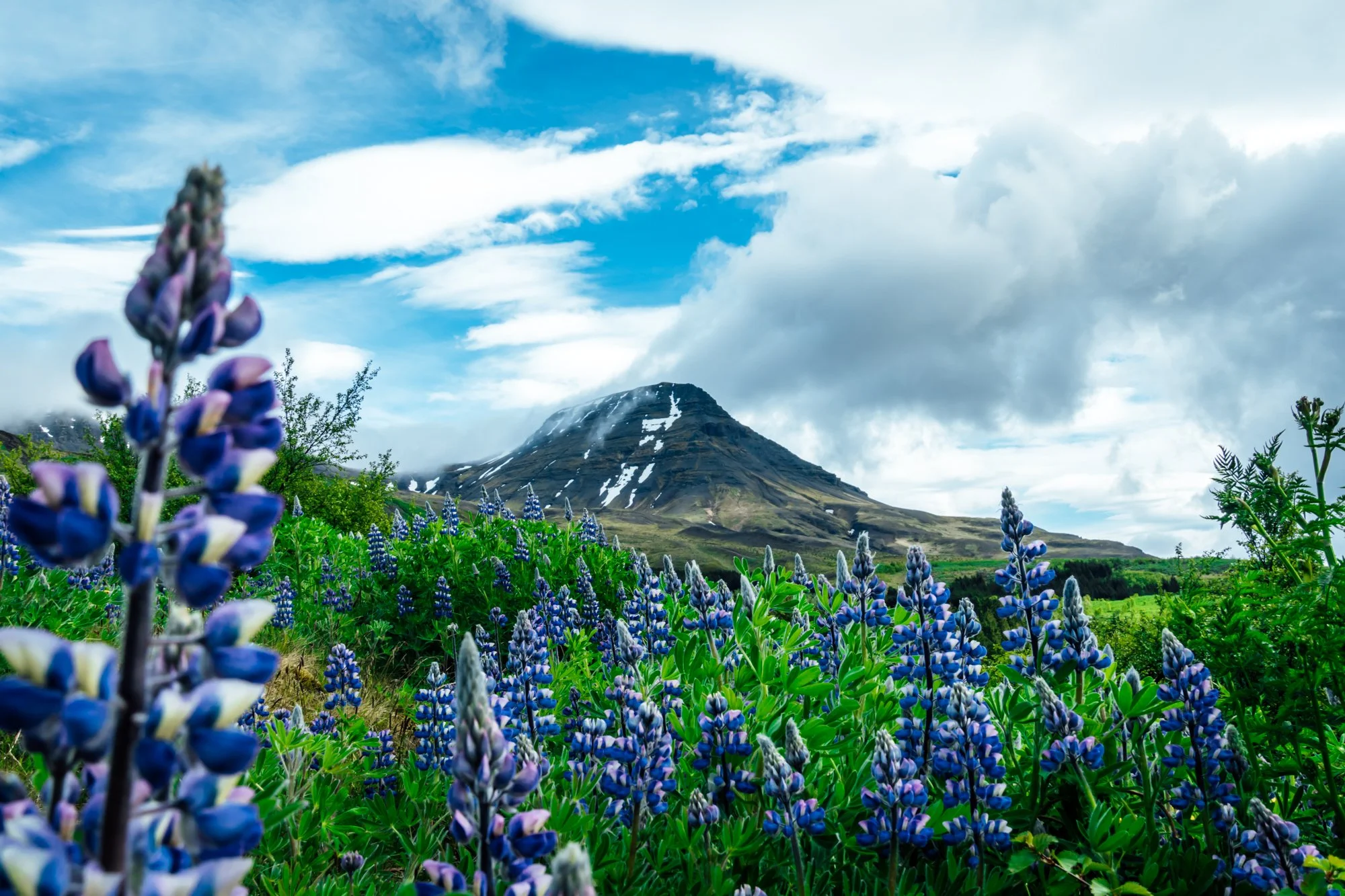 Photo by Patrick Bodnar-10.jpg