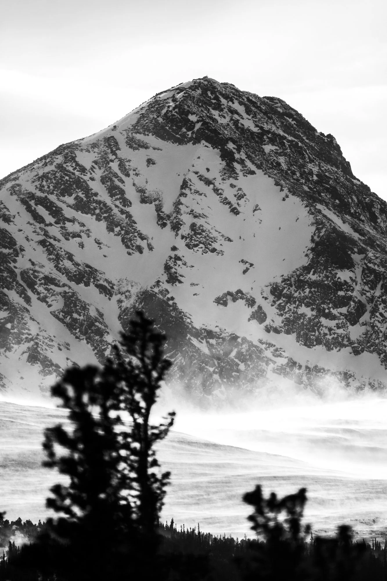 Photo by Patrick Bodnar-04.jpg