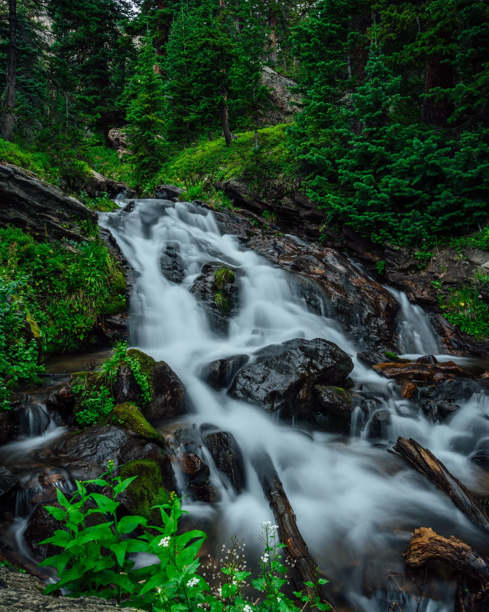 Photo by Patrick Bodnar-07.jpg