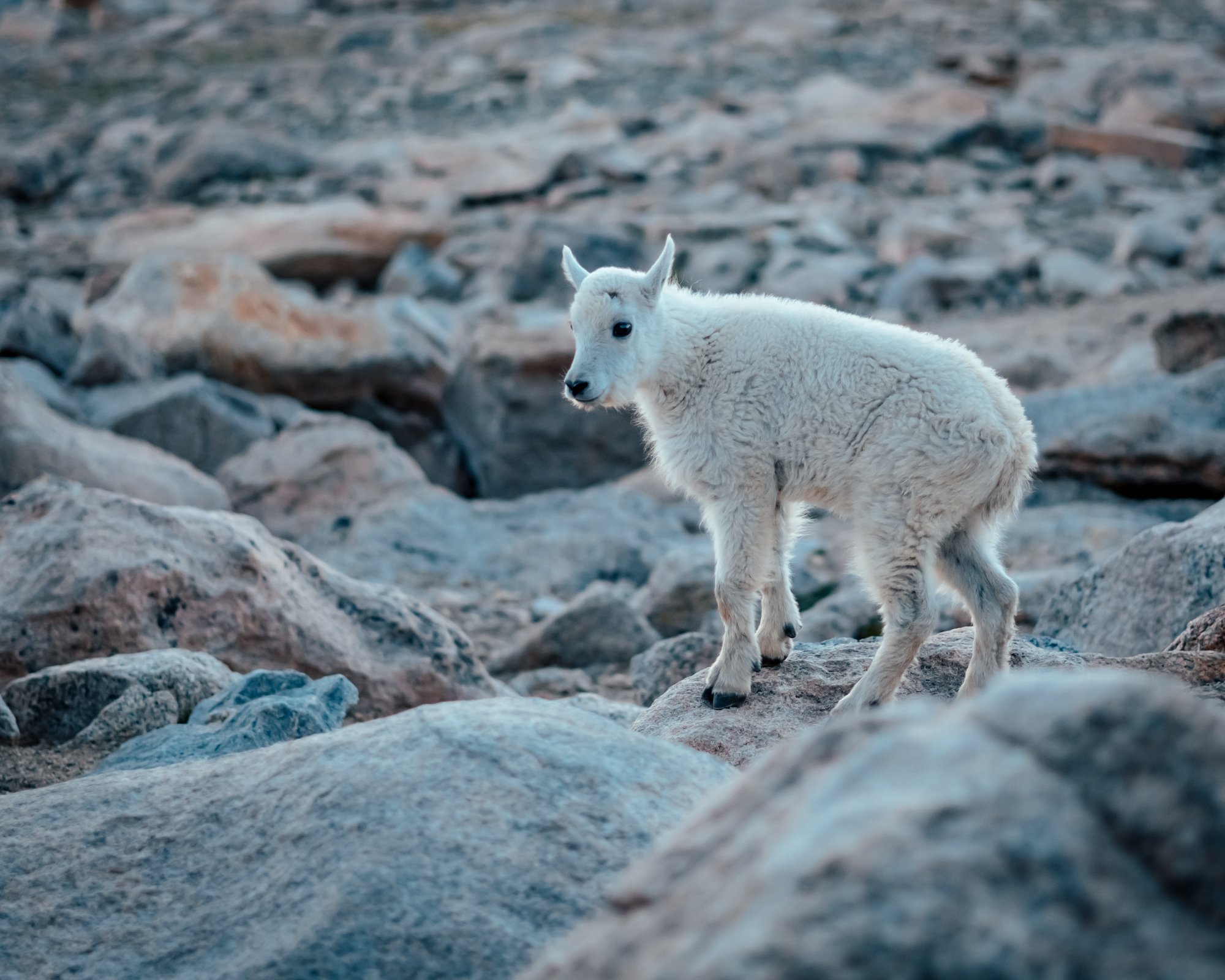 Photo by Patrick Bodnar-21.jpg