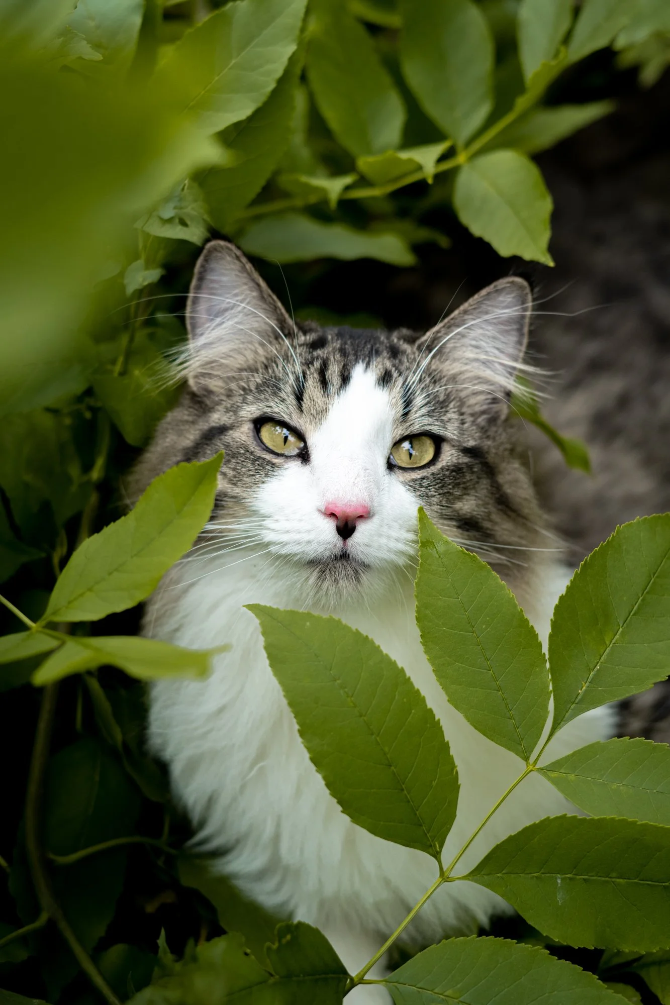 Photo by Patrick Bodnar-08.jpg