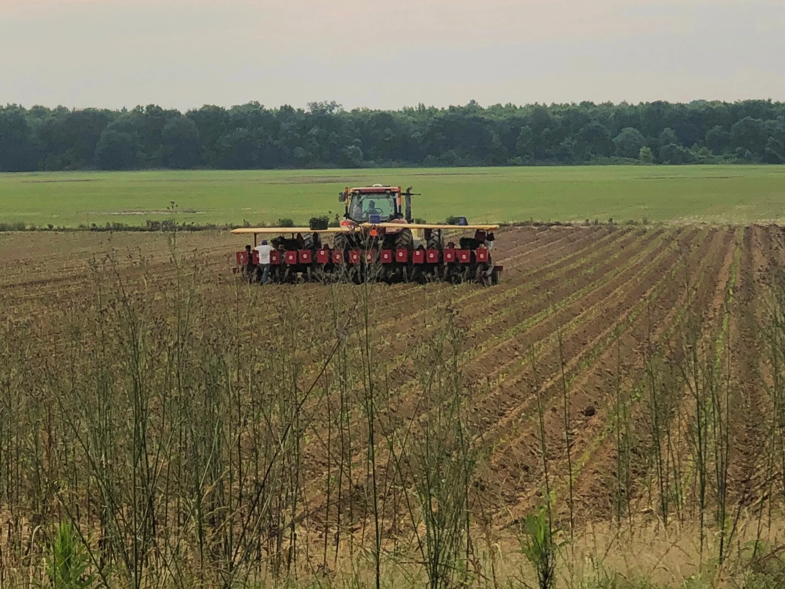tractor_field.jpg
