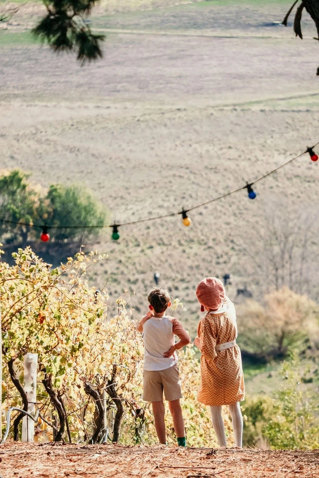 Two children, a boy and a girl, standing outdoors on a sunny day. The boy is wearing a long sleeve shirt and shorts, and the girl is wearing a dress with a hat. They are looking at a hill or field in the distance decorated with colorful string lights hanging above them.