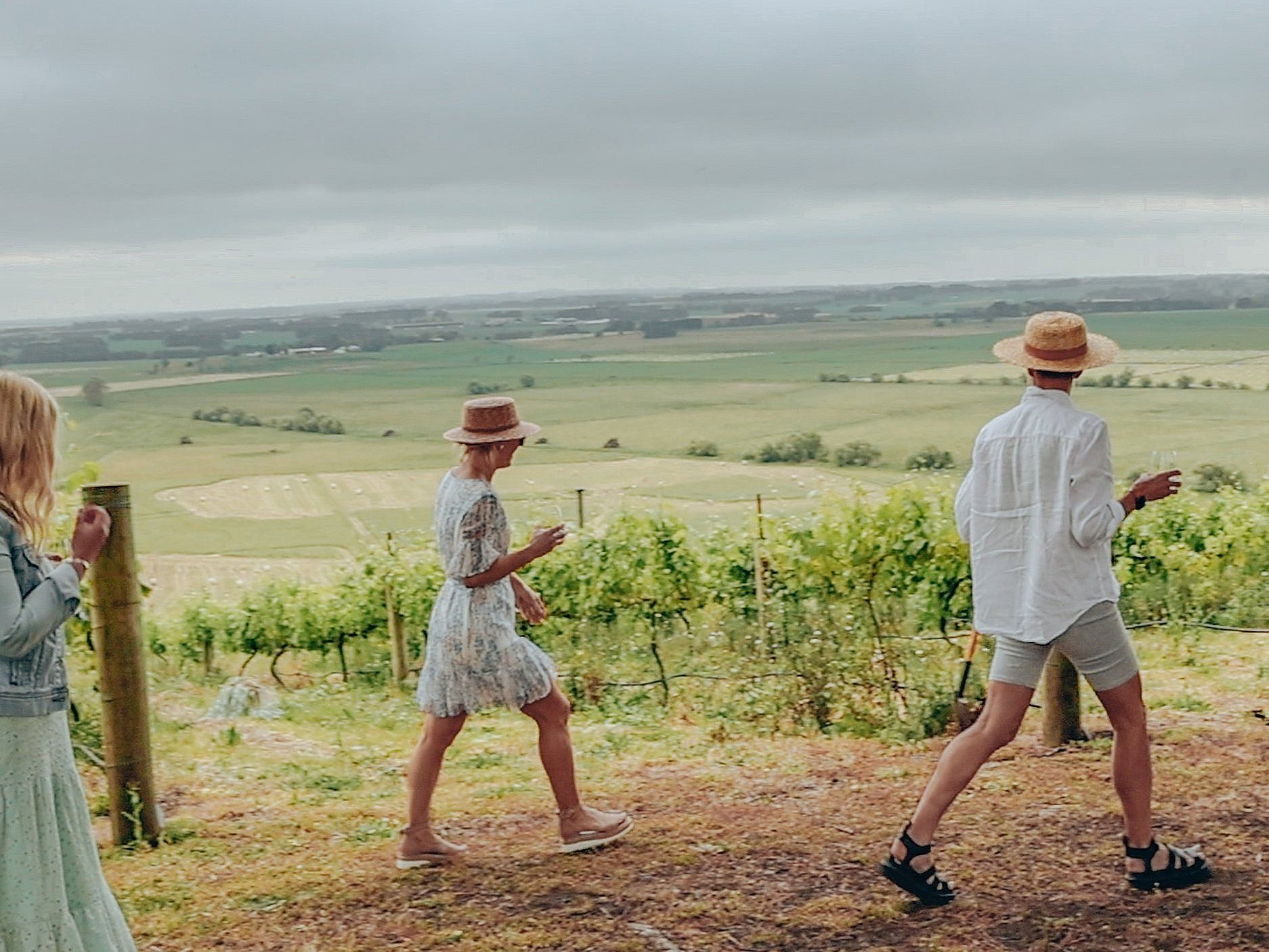 A small group walking the along a vineyard, with a stunning backdrop overlooking a volcanic crater  