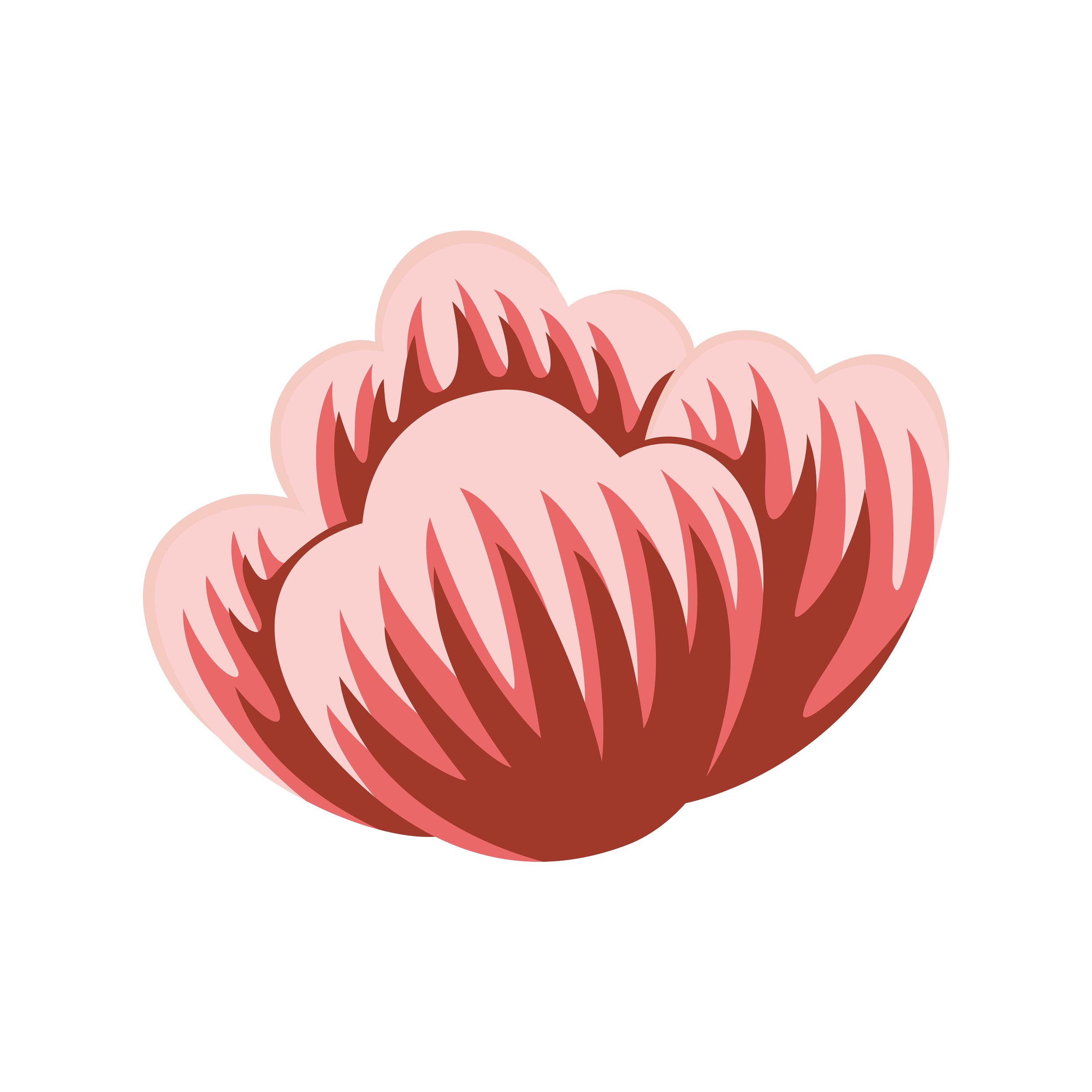 Rose Living — 6 Week Journey