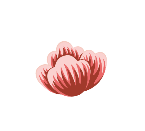 Rose Living — 6 Week Mentoring