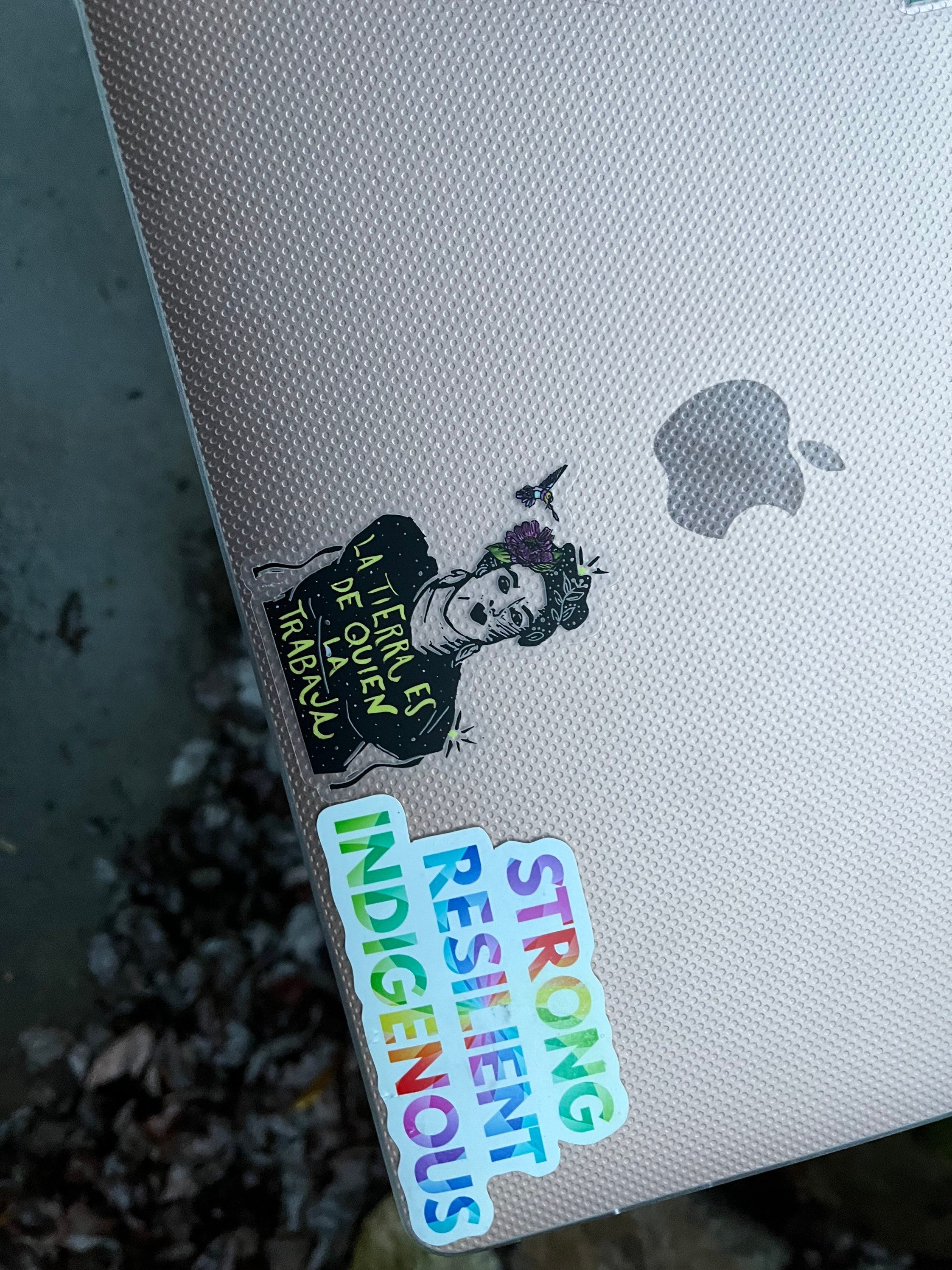 https://i.etsystatic.com/17547701/r/il/bf6638/3592312821/il_fullxfull.3592312821_36vh.jpg
