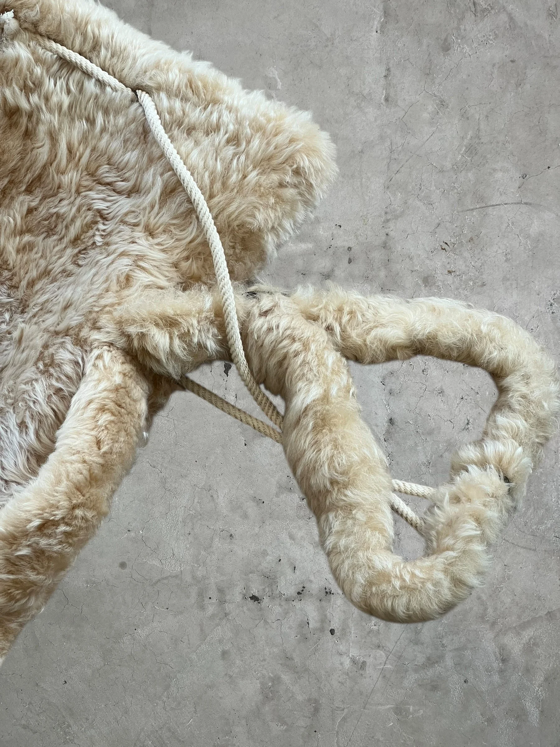 Photoroom_026_20250920_132631.jpeg