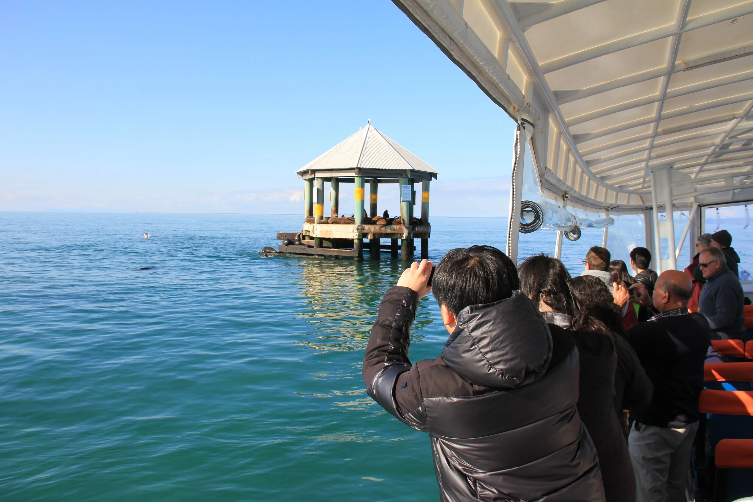 1.5 Hr Wildlife Sightsee