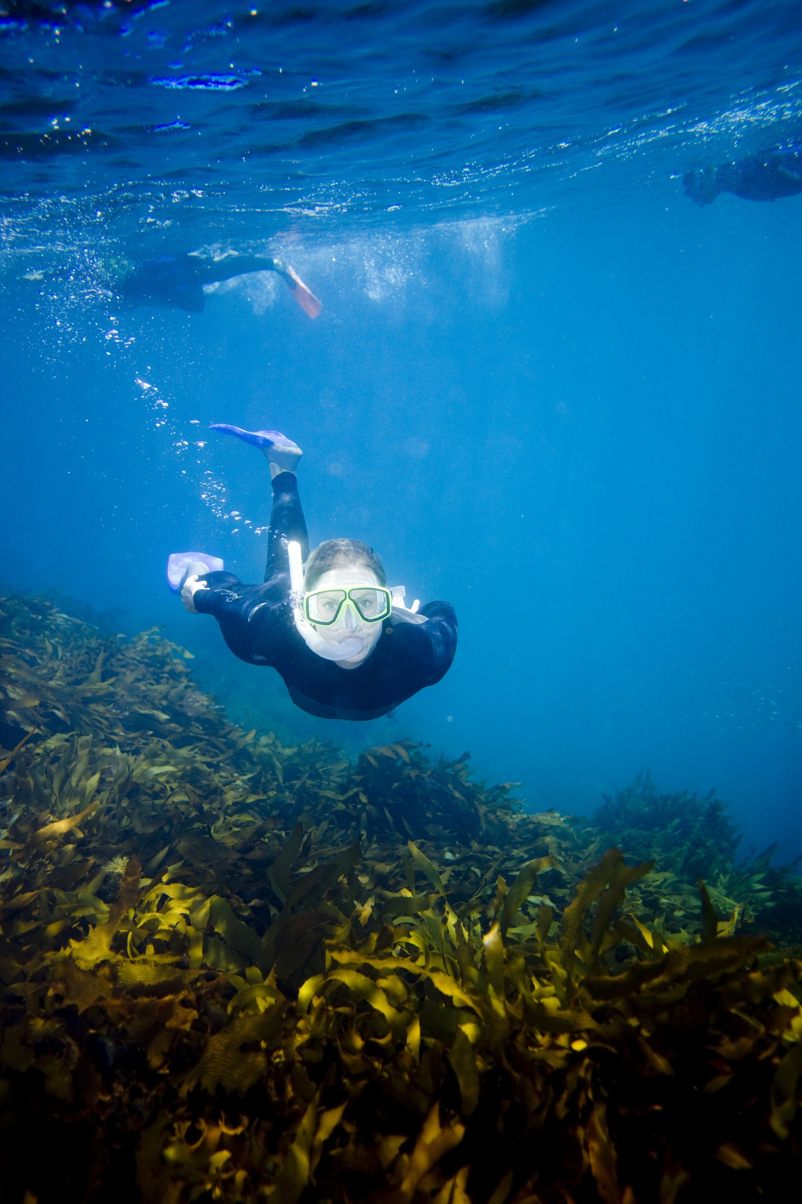 girl snorkeling.jpg