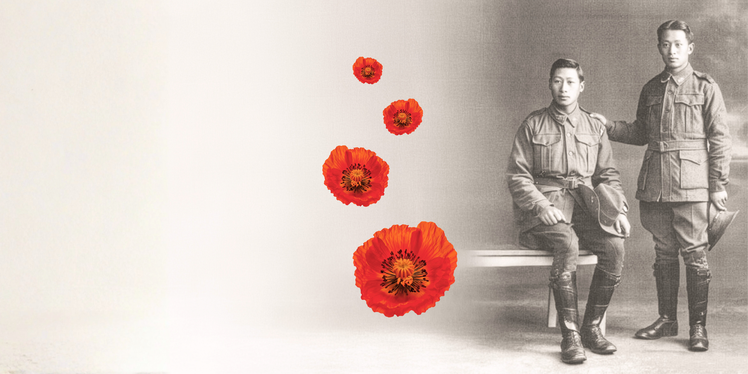 华裔澳新军团展     Chinese Anzacs Exhibition