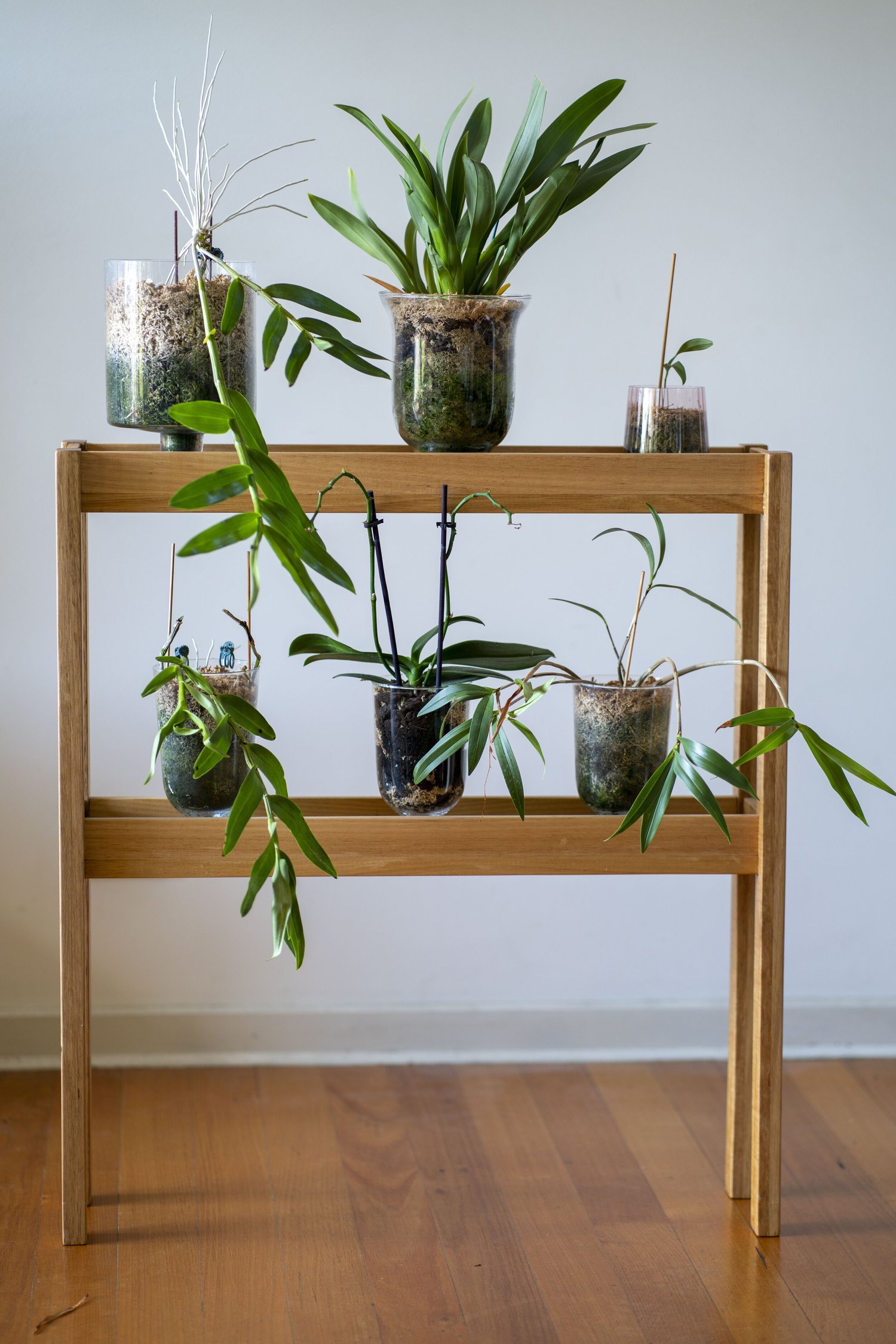 Orchid Stand — Tangent Timber Designs