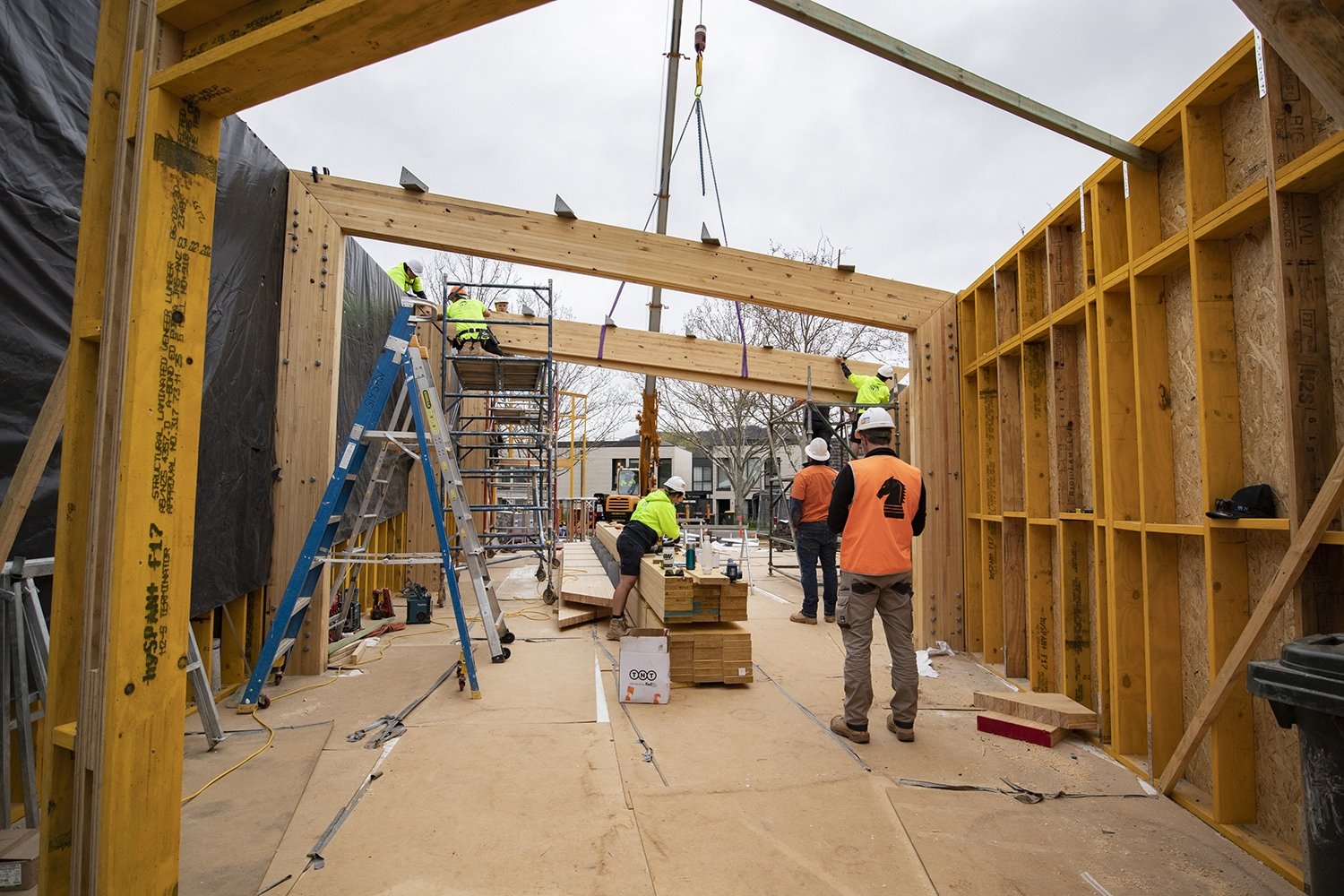MIS Blue Gum Glulam Beams.JPG